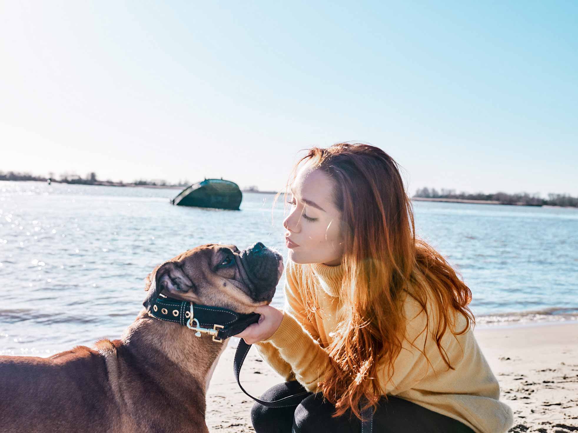 puede un perro estar enamorado de un humano