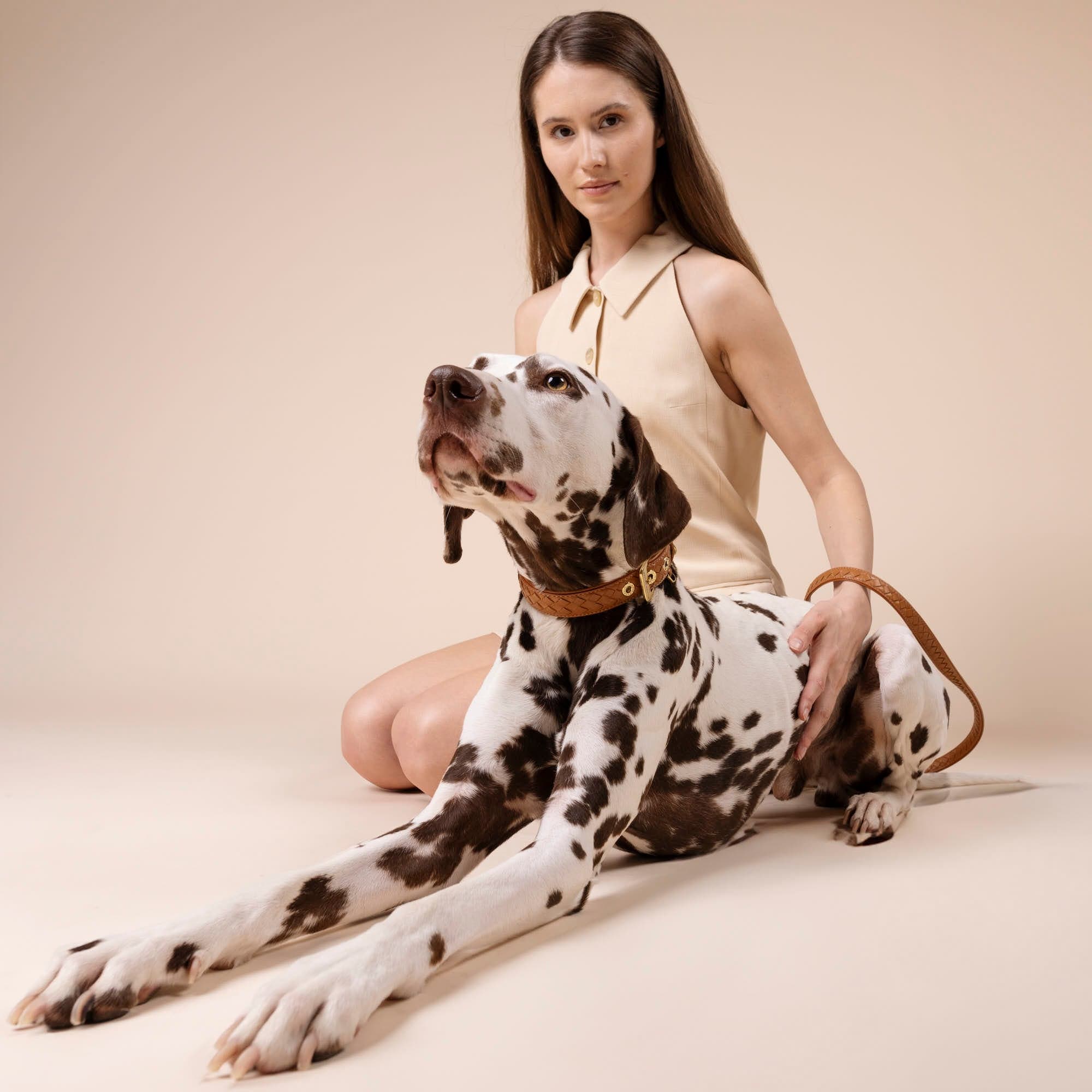 William Walker Leder Hundehalsband Prestige Caramel