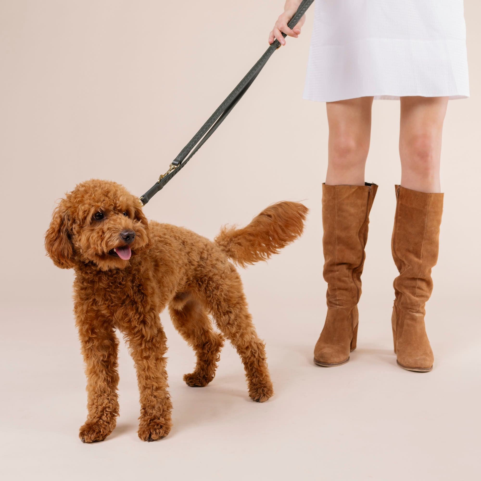 William Walker Hochwertige Leder Hundeleine Prestige Forest (Waldgrün)