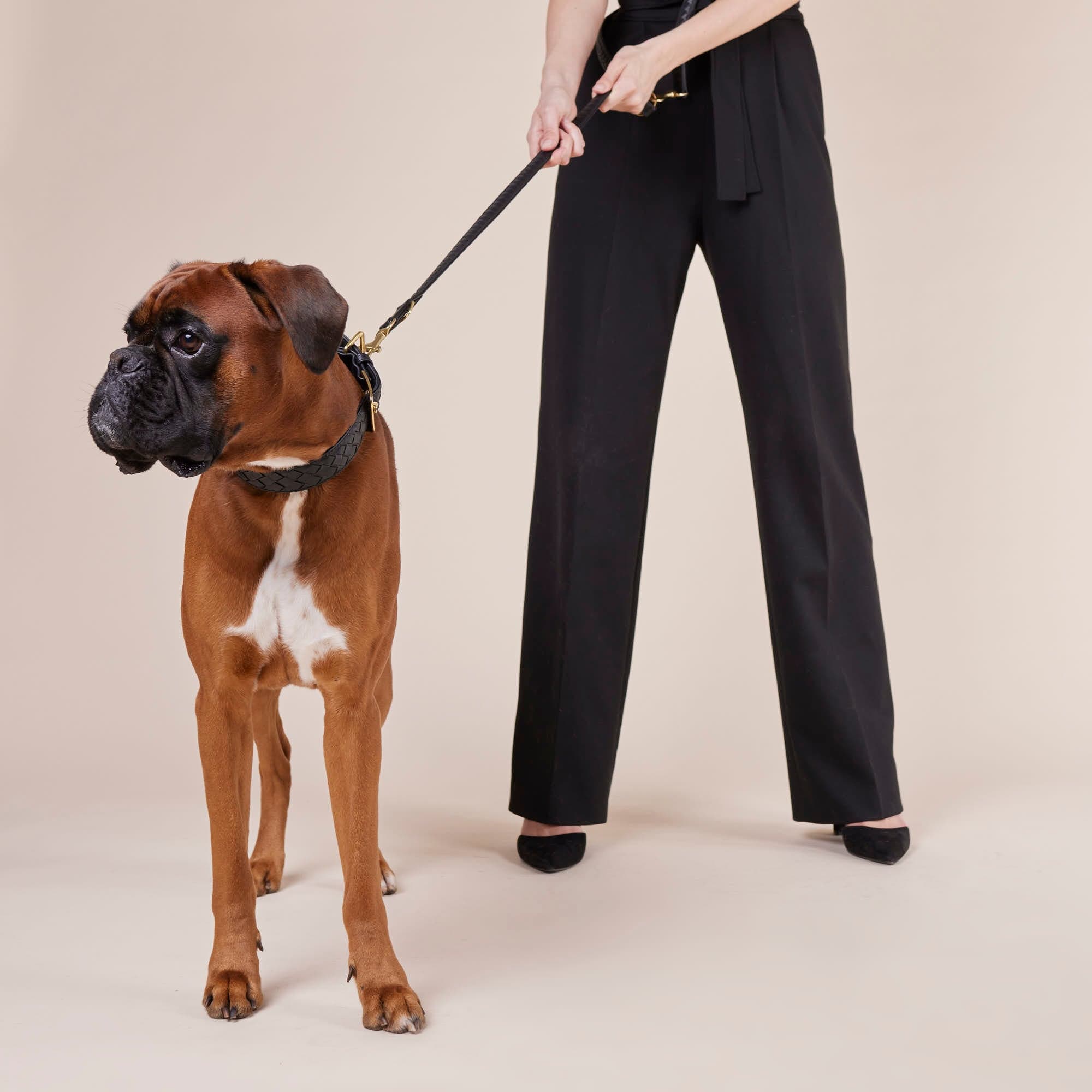 William Walker Leder Hundehalsband Prestige Nero (Schwarz)