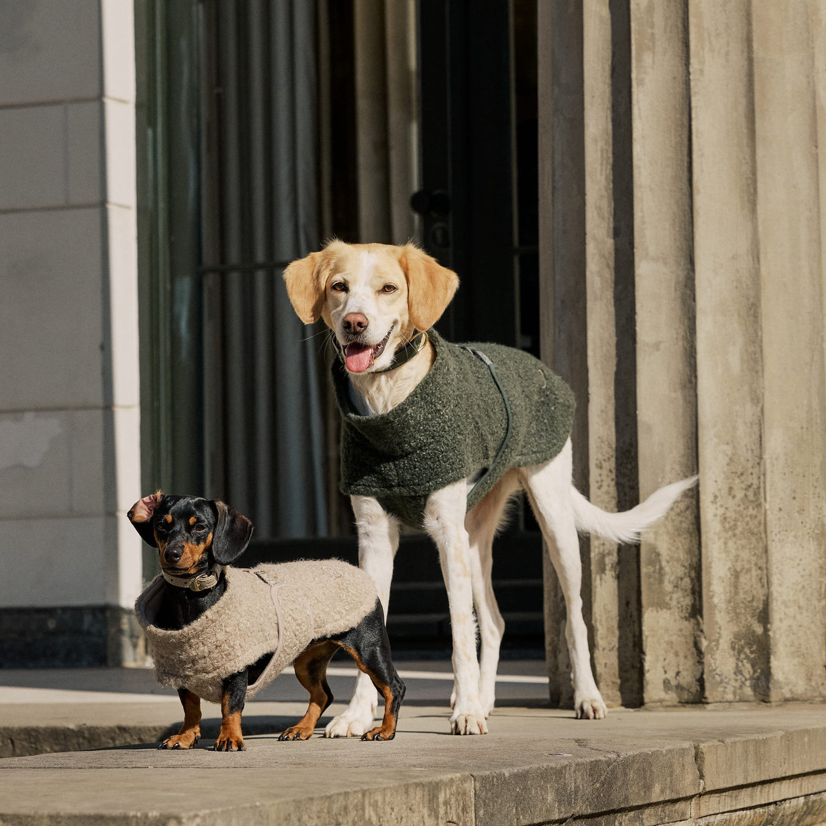 William Walker Cosy fleece dog coat Cozy for dachshunds