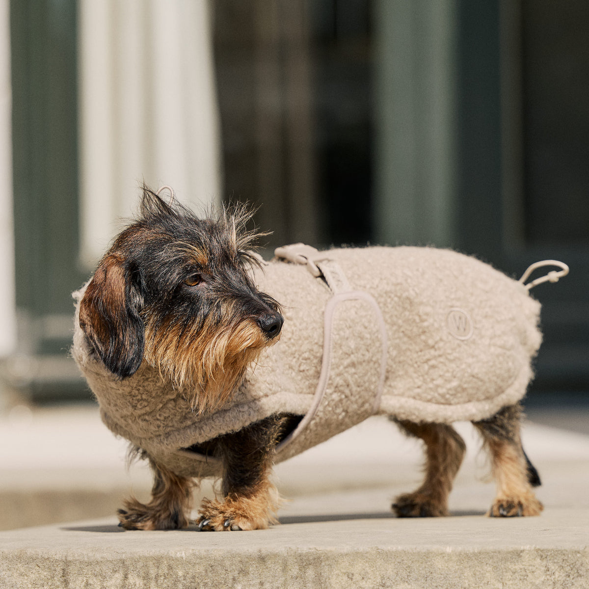 William Walker Cosy fleece dog coat Cozy for dachshunds