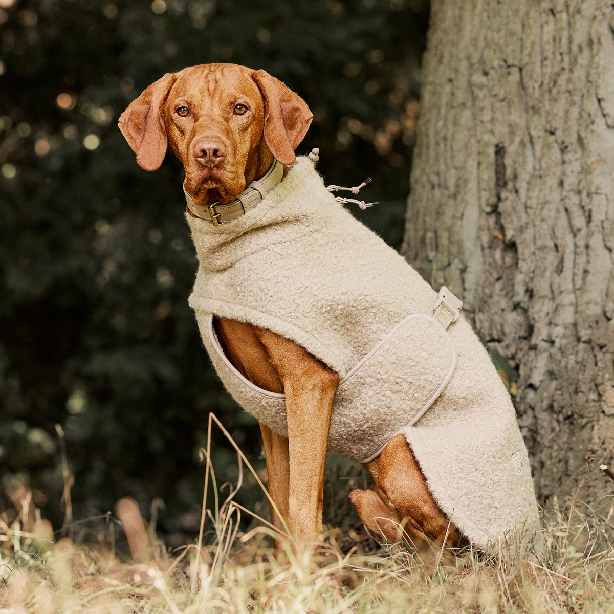 William Walker Gemütlicher Fleece Hundemantel Cozy