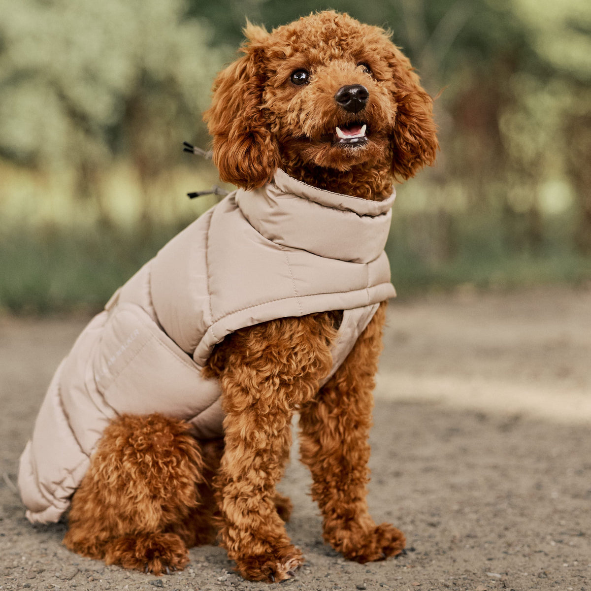 William Walker Warm winter dog coat Alpine