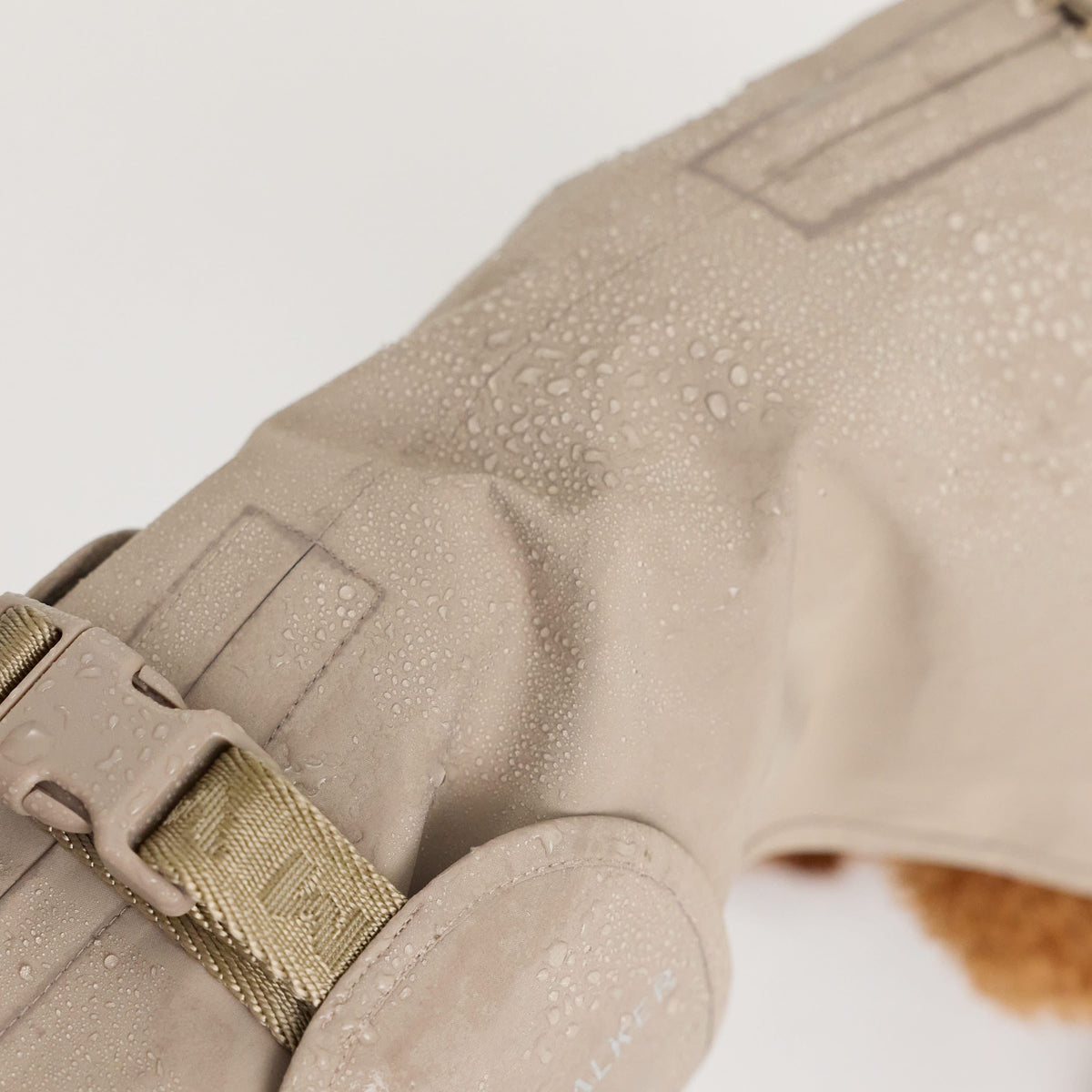 William Walker Waterproof dog raincoat Harbour