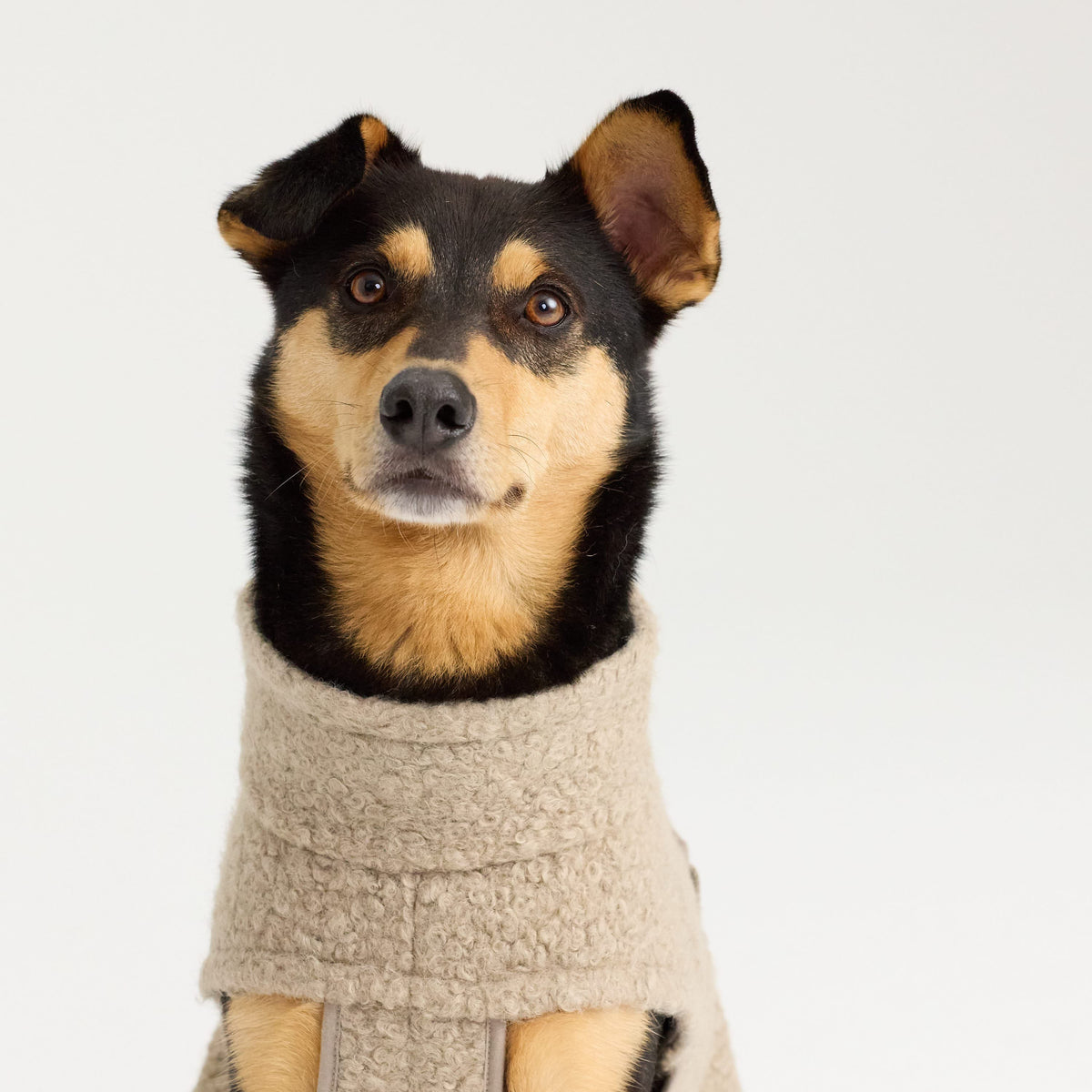 William Walker Fleece-Hundemantel Cozy