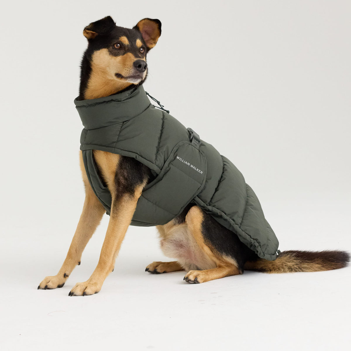 William Walker Warm winter dog coat Alpine