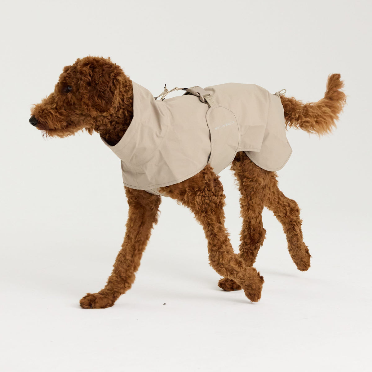 William Walker Waterproof dog raincoat Harbour