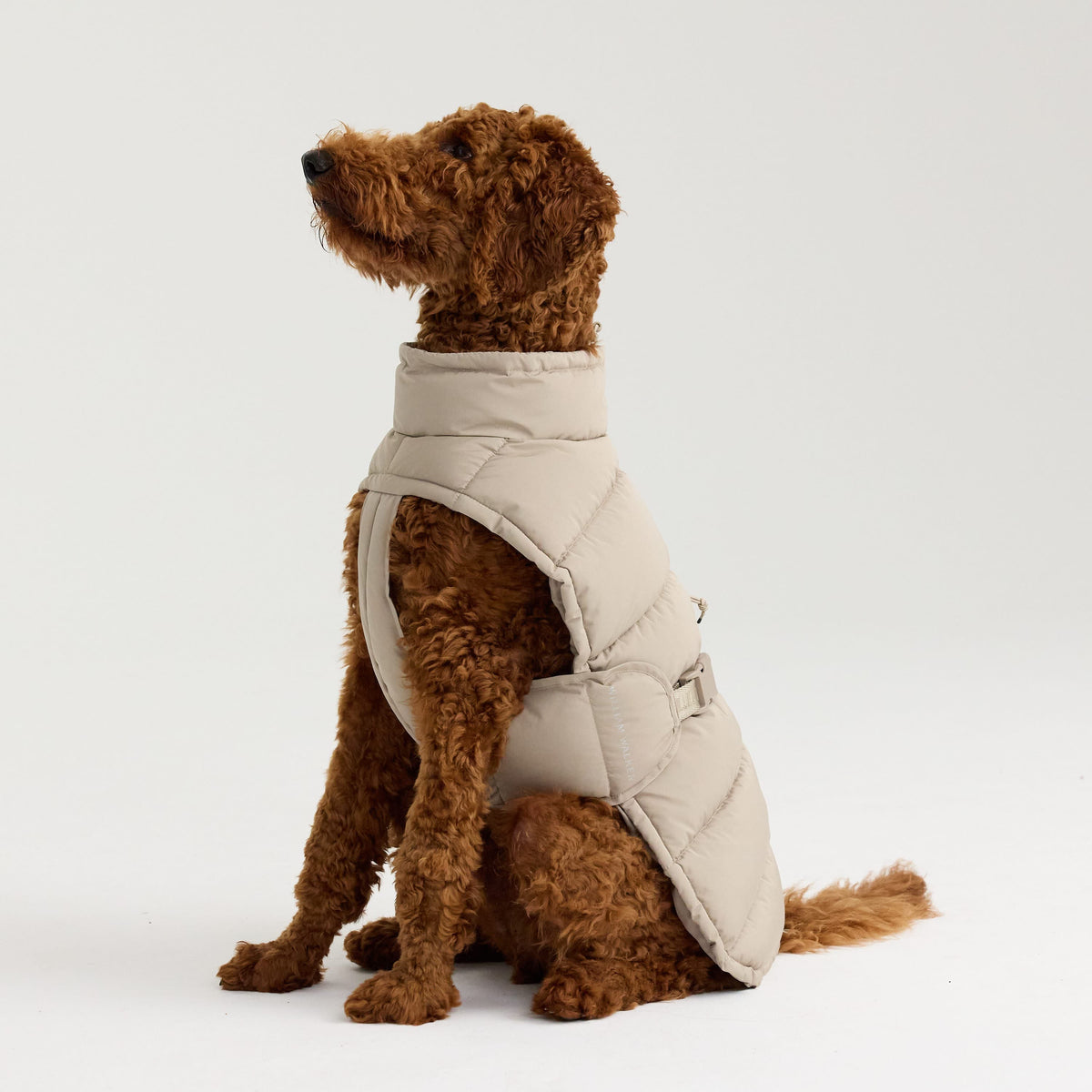 William Walker Warm winter dog coat Alpine