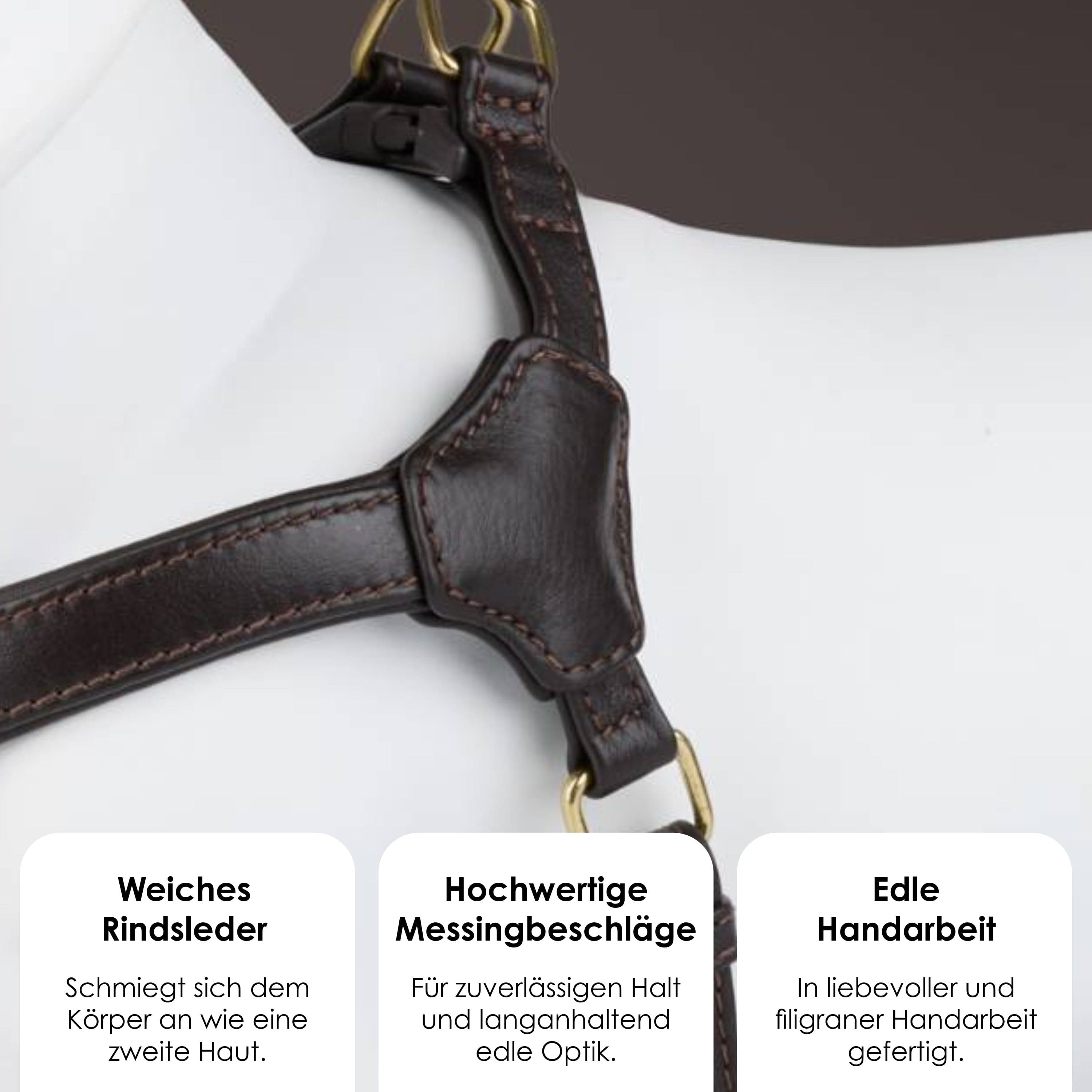 William Walker Step-In Leder Geschirr Pico für kleine Hunde