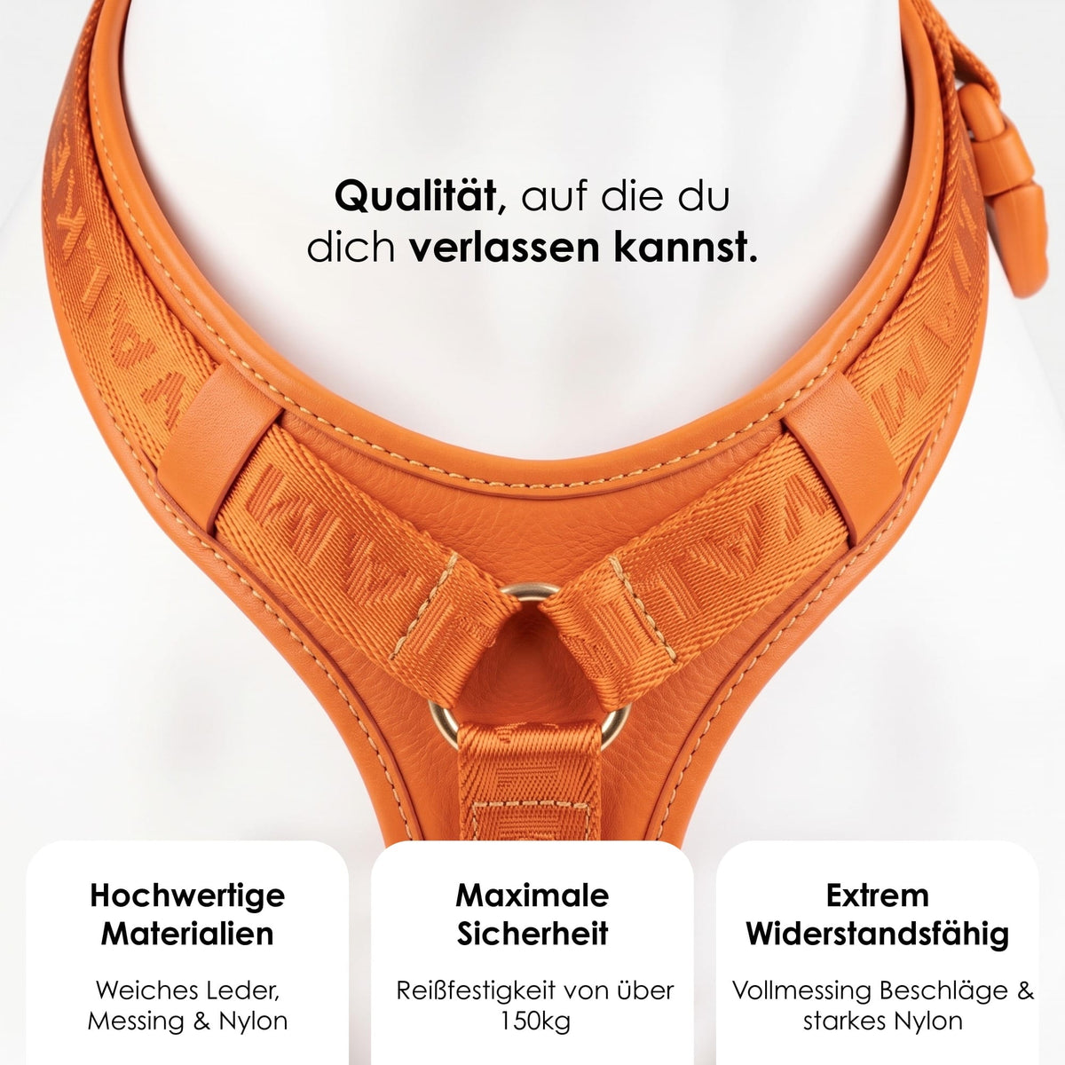 William Walker Hochwertiges Leder Y-Hundegeschirr Plain