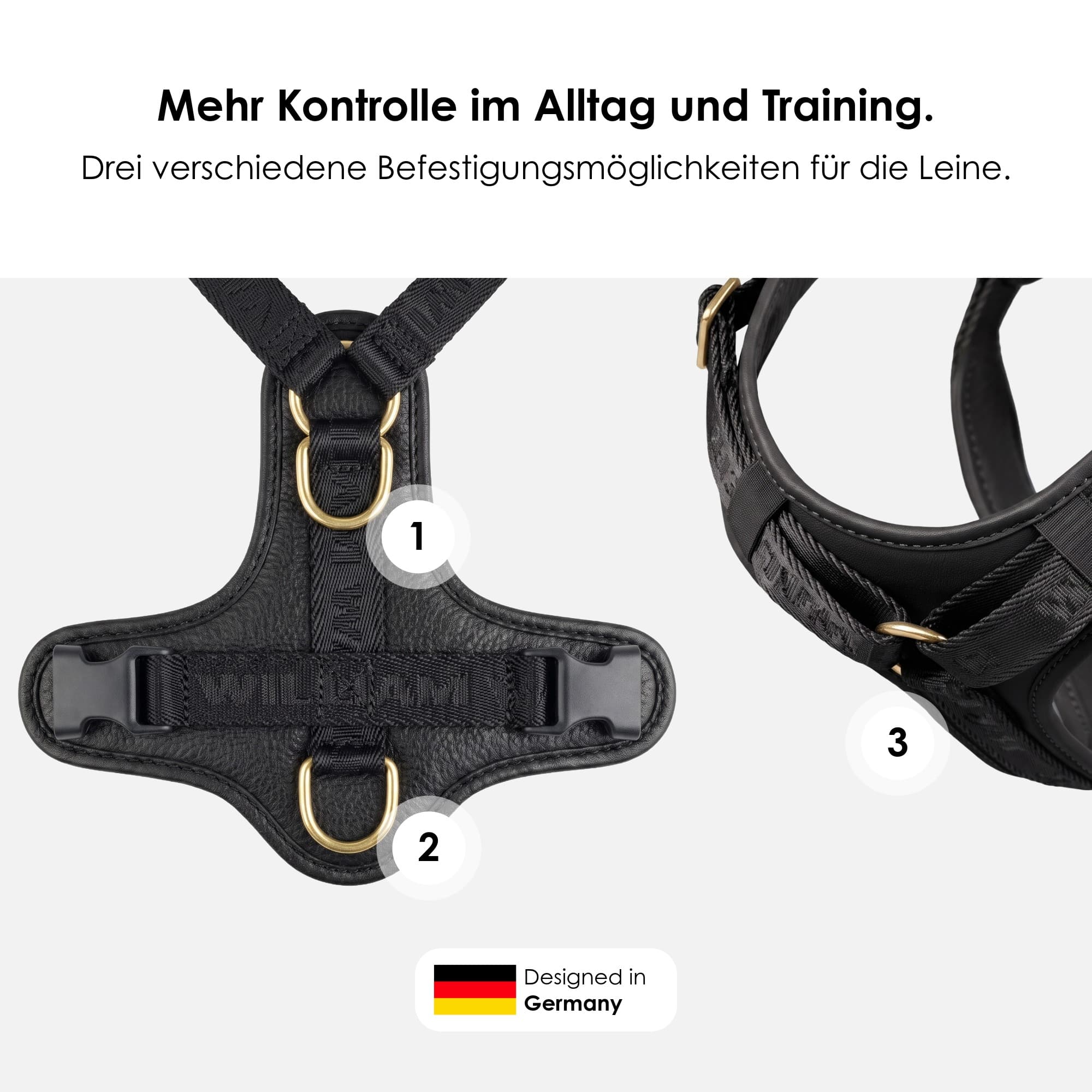 William Walker Hochwertiges Leder Y-Hundegeschirr Plain
