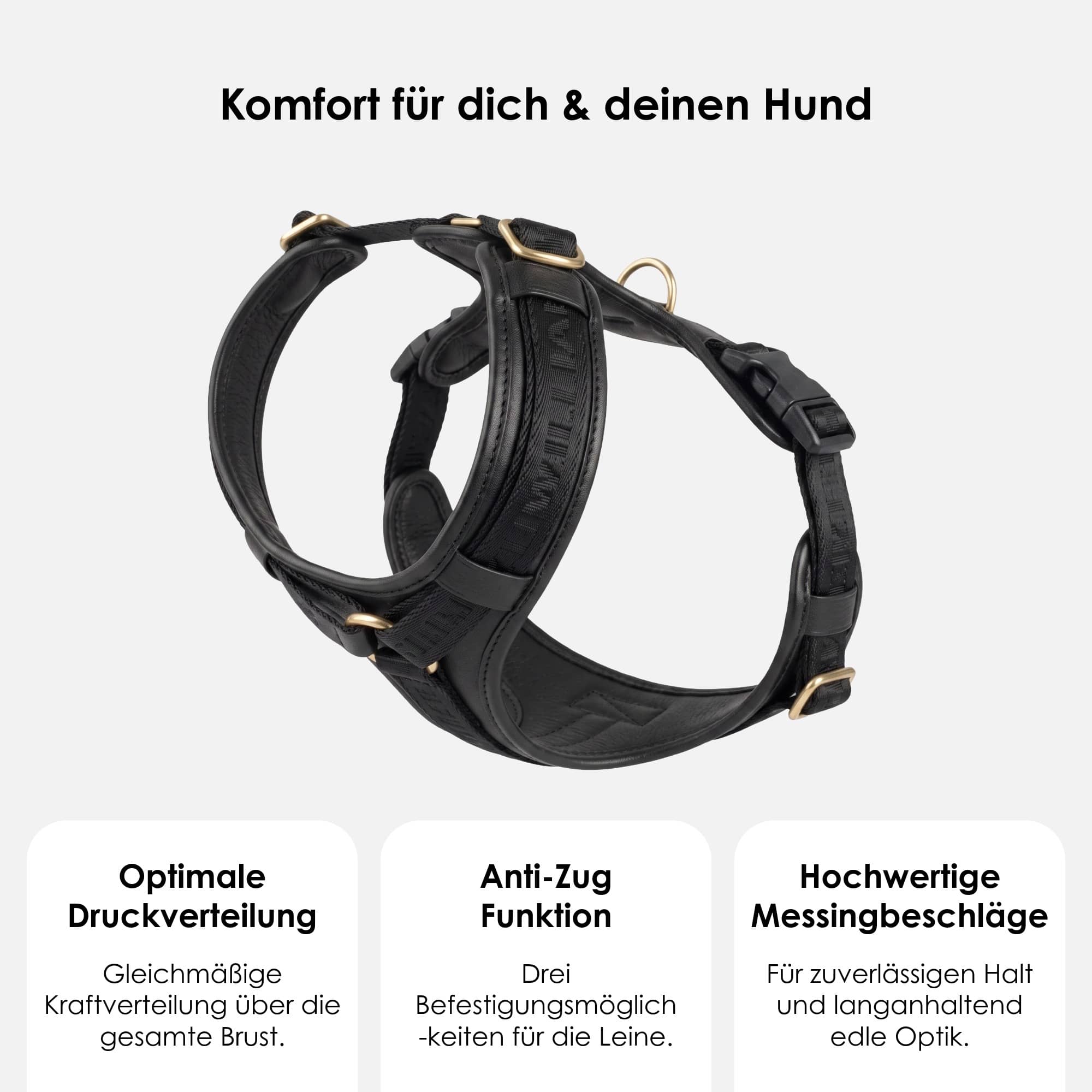 William Walker Hochwertiges Leder Y-Hundegeschirr Plain