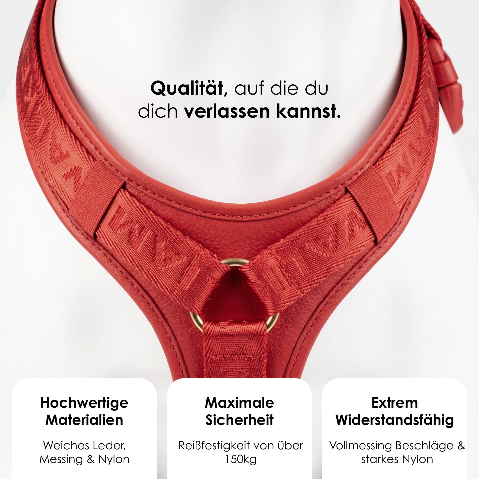 William Walker Hochwertiges Leder Y-Hundegeschirr Plain