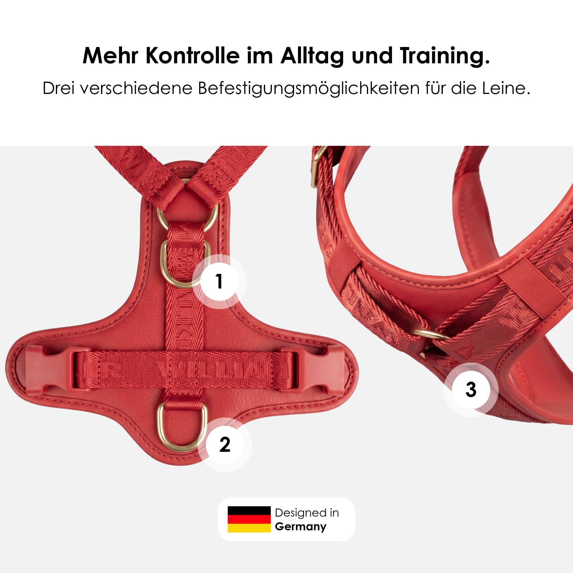 William Walker Hochwertiges Leder Y-Hundegeschirr Plain