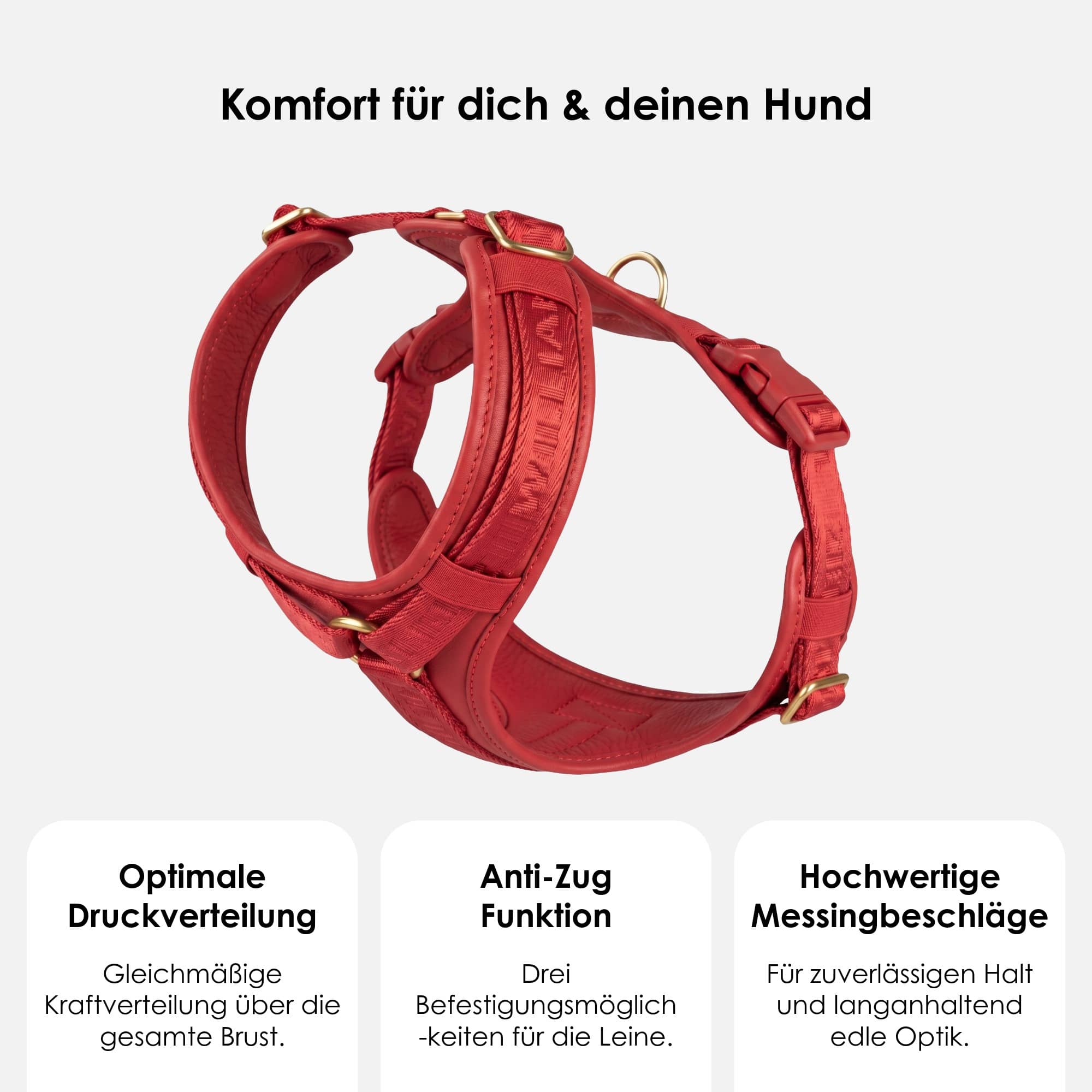 William Walker Hochwertiges Leder Y-Hundegeschirr Plain