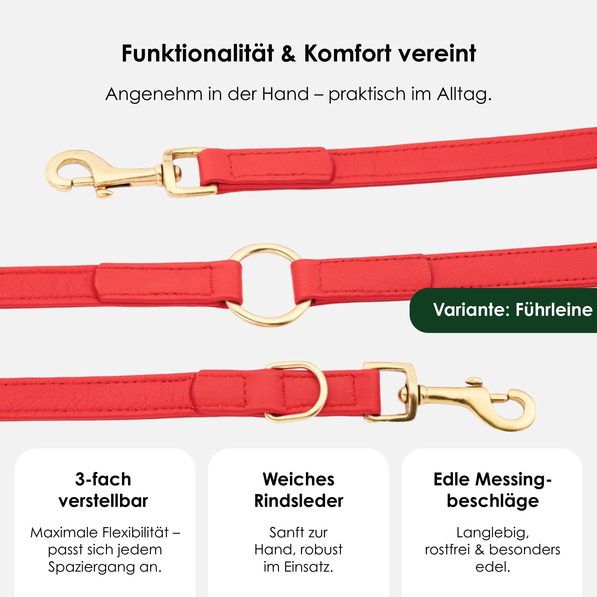 William Walker Hochwertige Leder Hundeleine Chili (Rot)