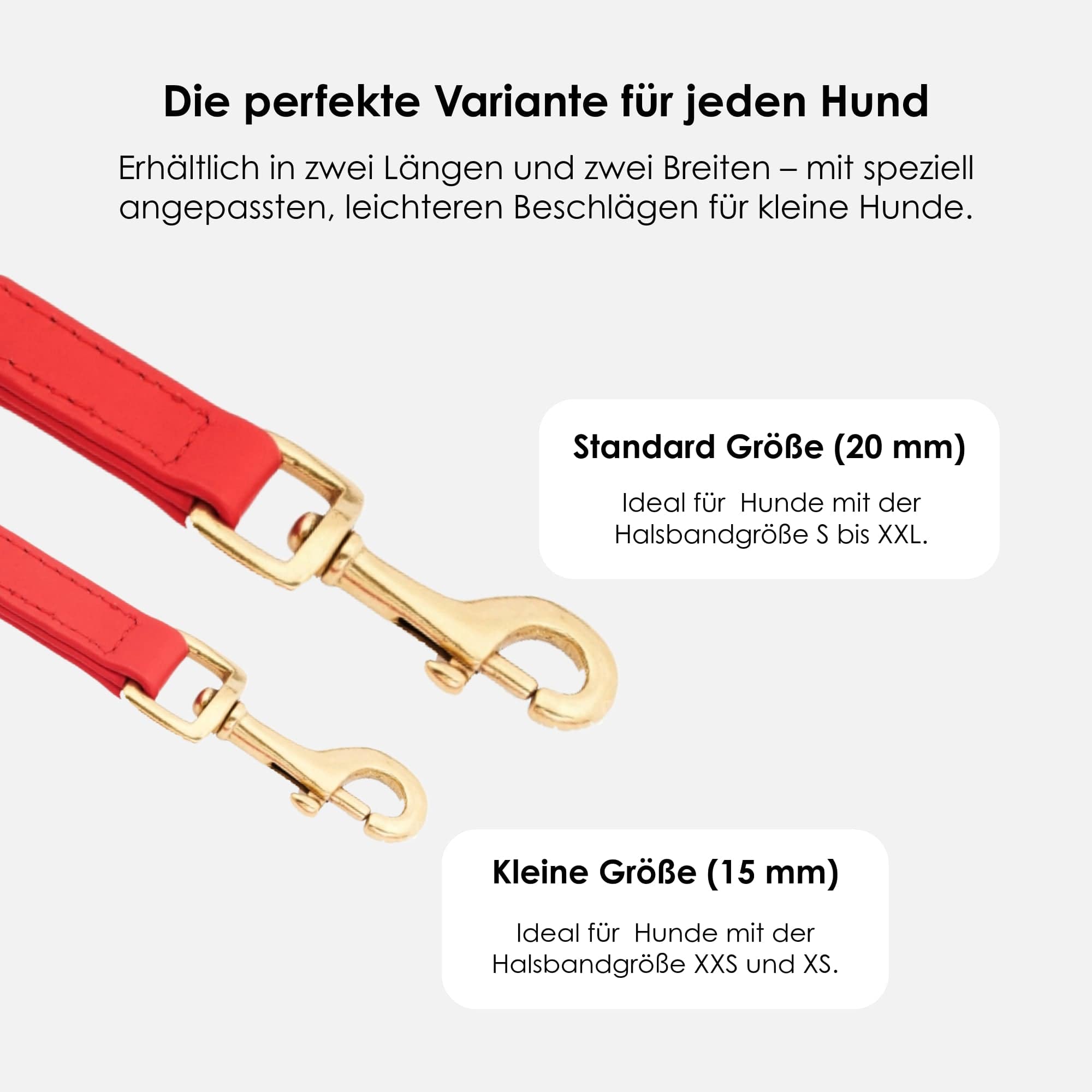 William Walker Hochwertige Leder Hundeleine Chili (Rot)