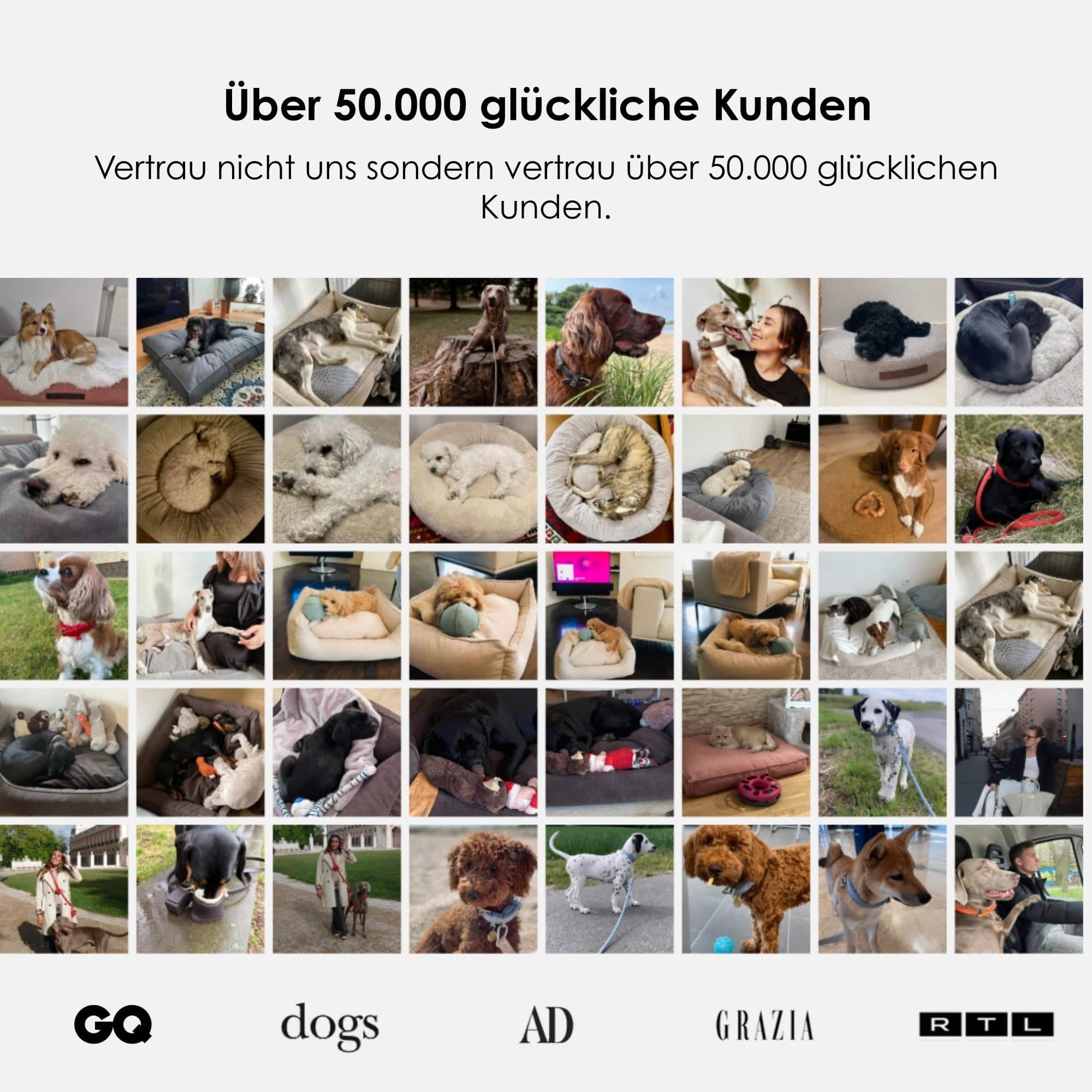 William Walker Orthopädisches Hundebett Wood (Braun)