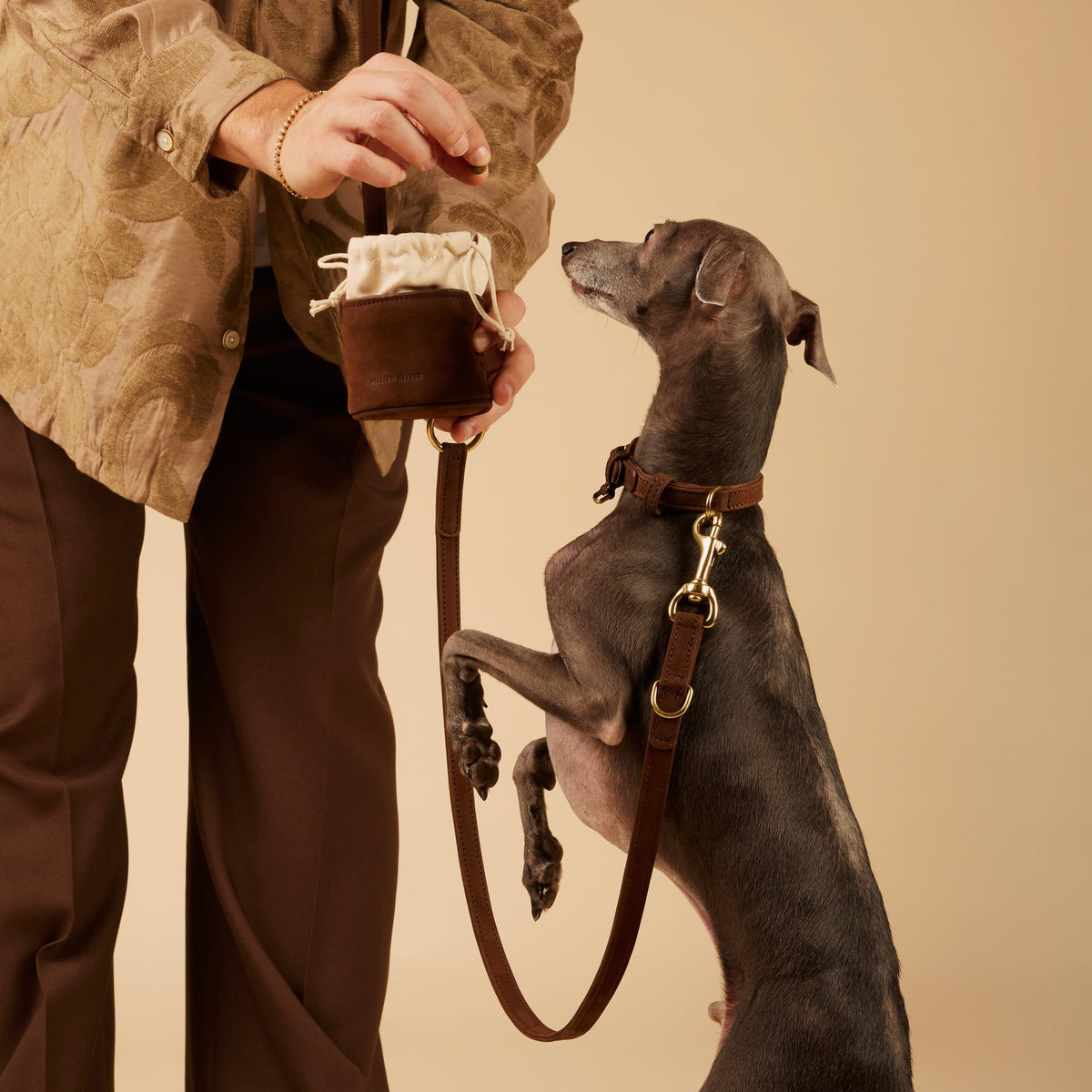 William Walker Premium Dog Leash Set in Water-Resistant Nubuck Leather