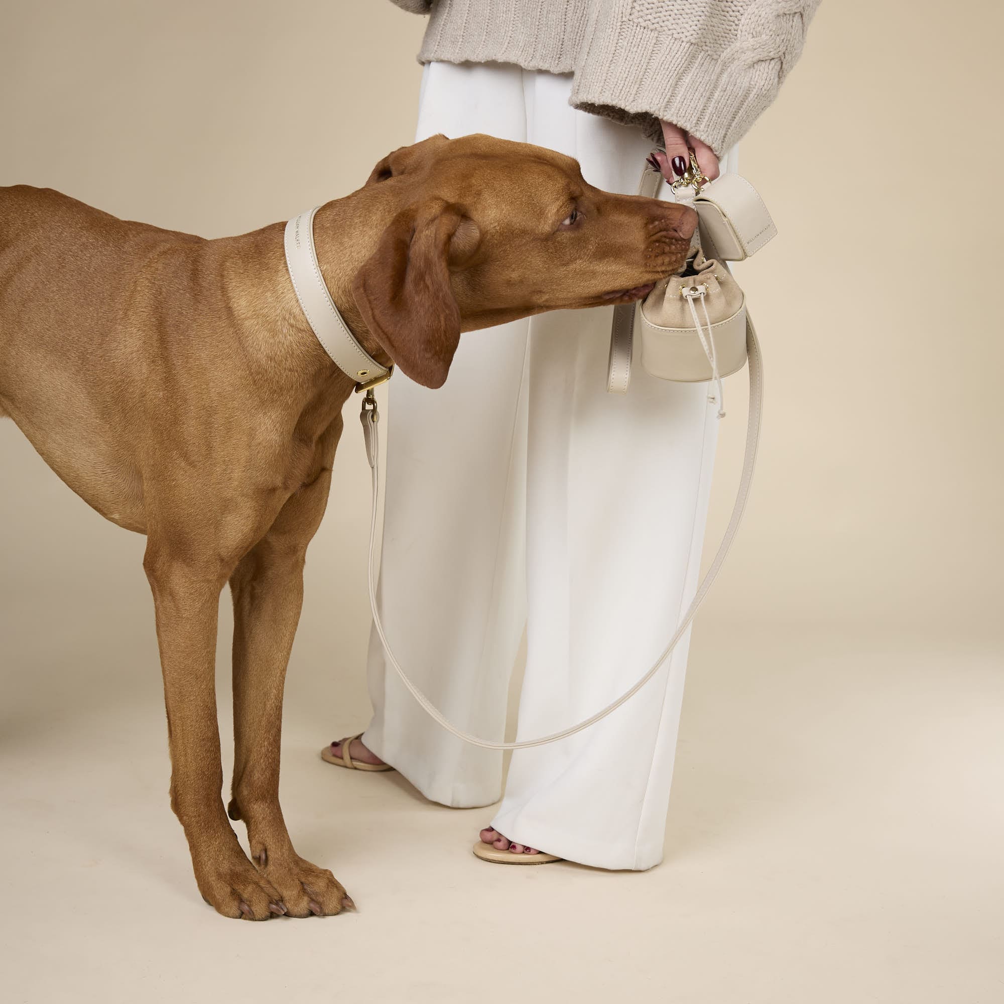 William Walker Glattleder Hundehalsband Almond