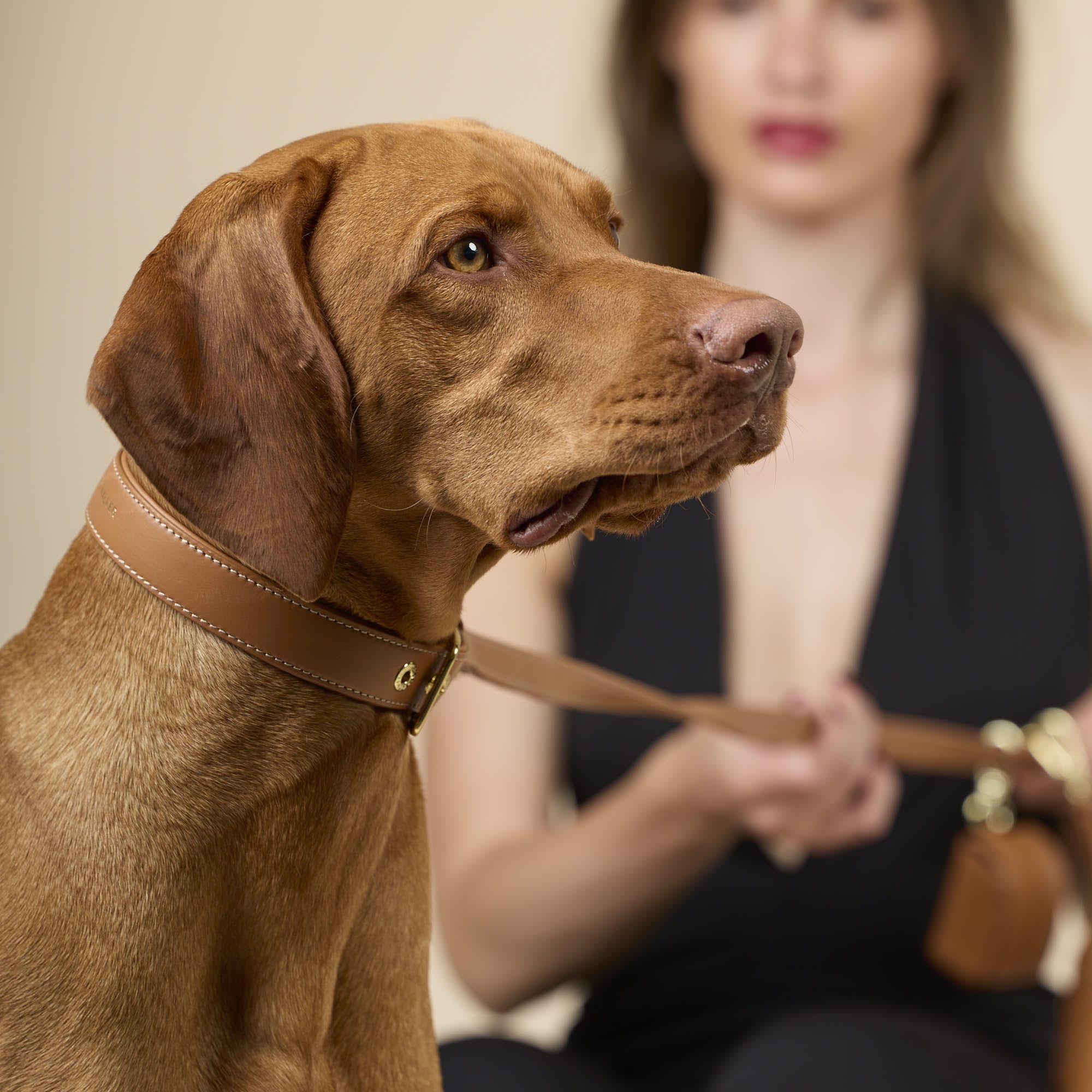 William Walker Glattleder Hundehalsband Caramel (Braun)