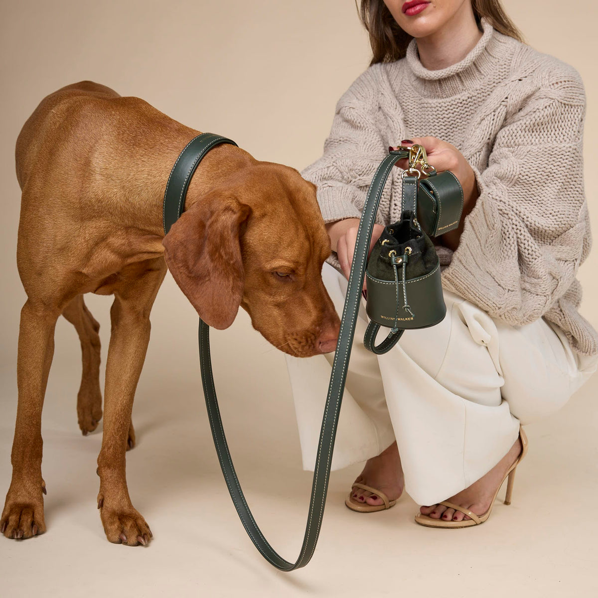 William Walker Premium smooth leather dog leash Forest