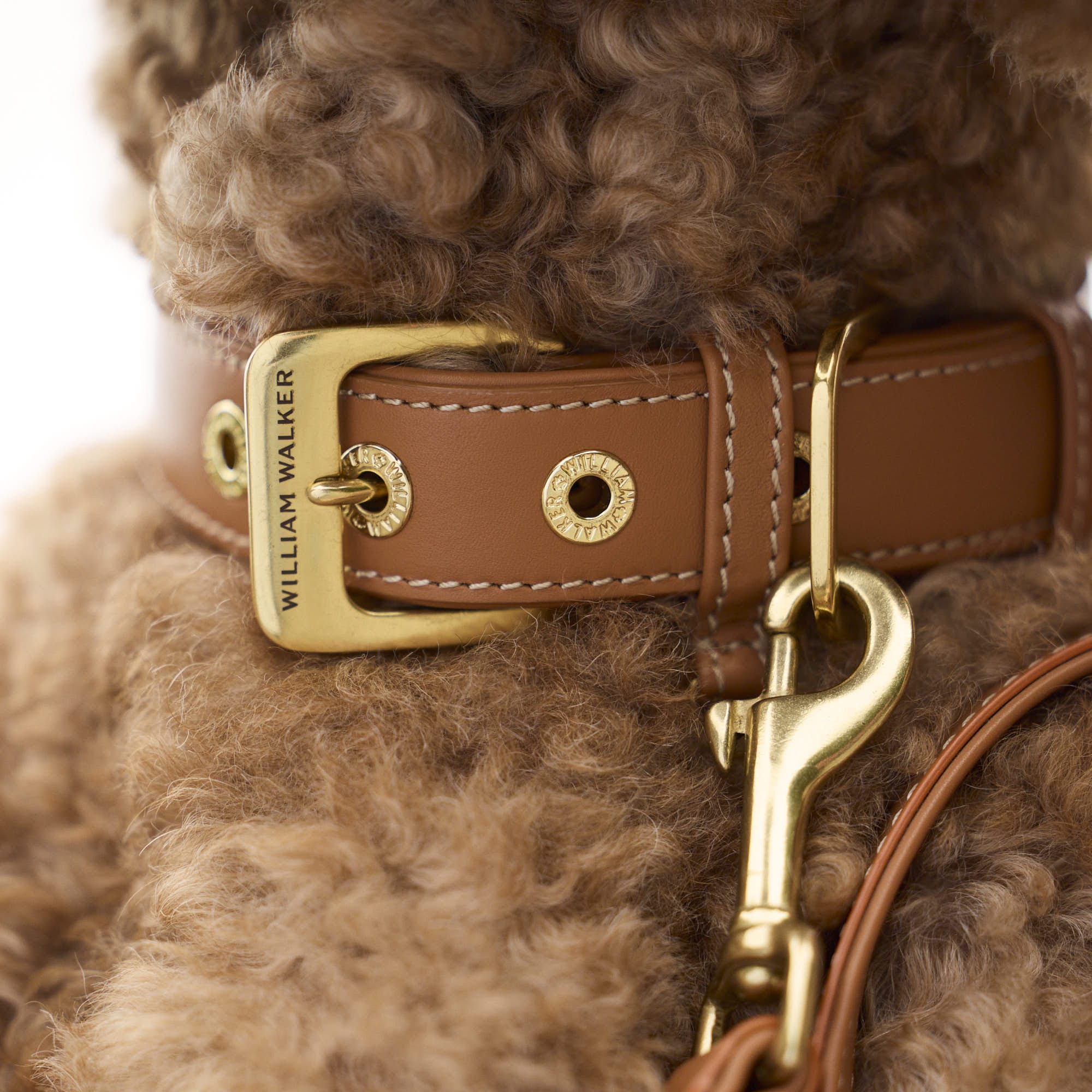 William Walker Glattleder Hundehalsband Caramel