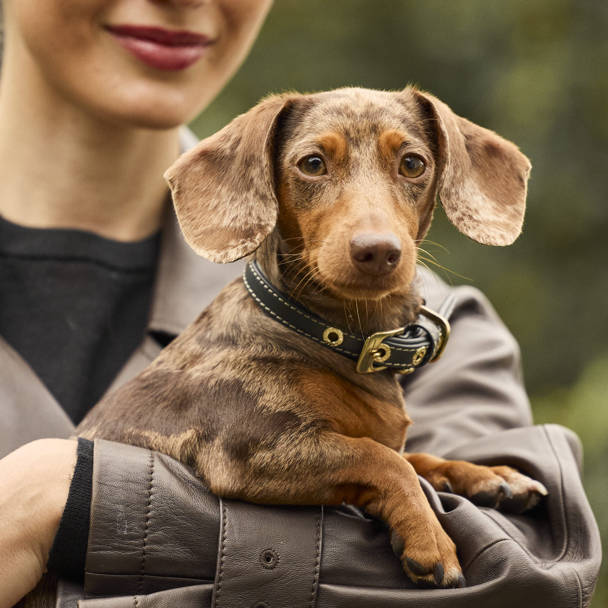 William Walker Glattleder Hundehalsband Forest