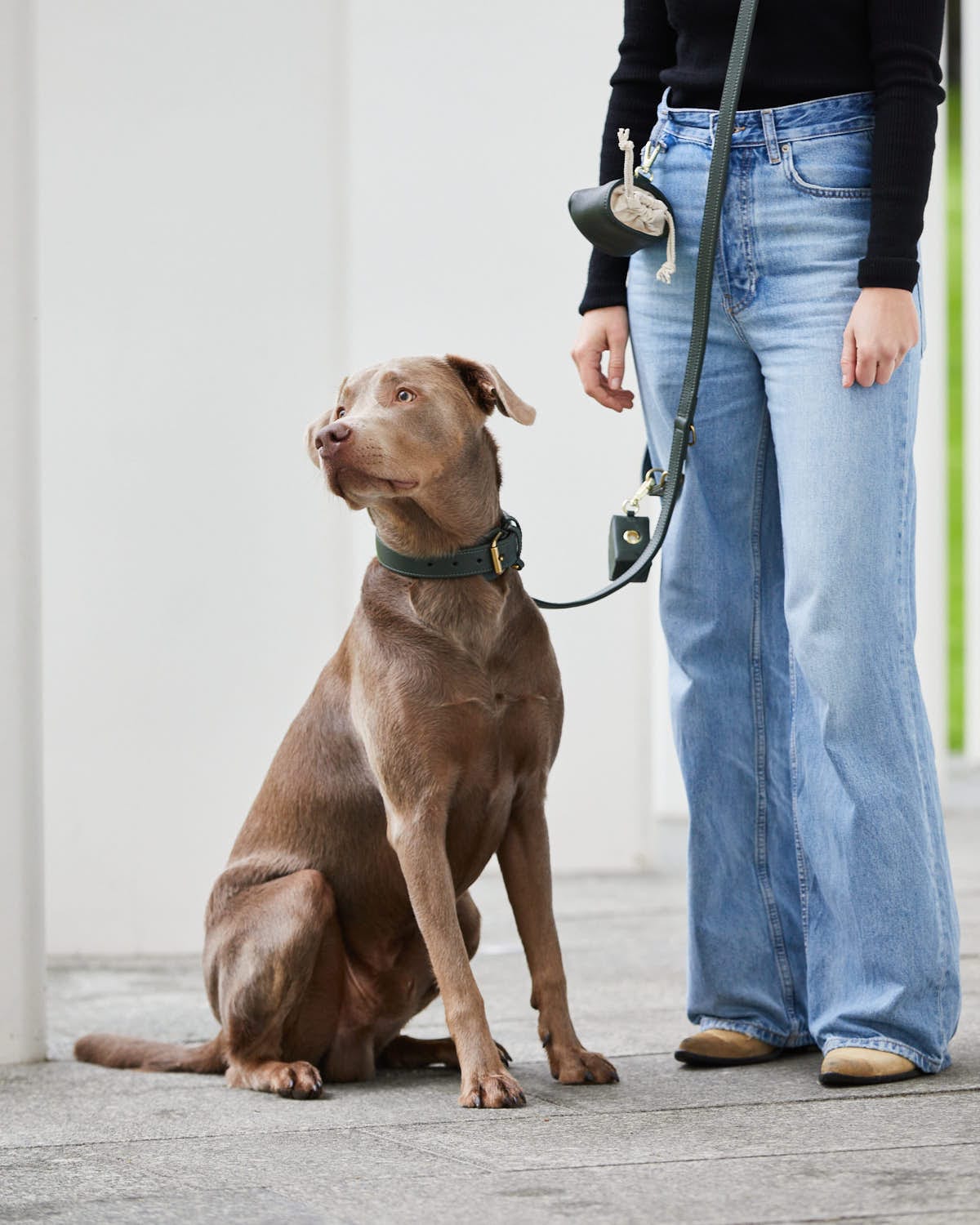 William Walker Leder Hundehalsband Dark Moss (Waldgrün)