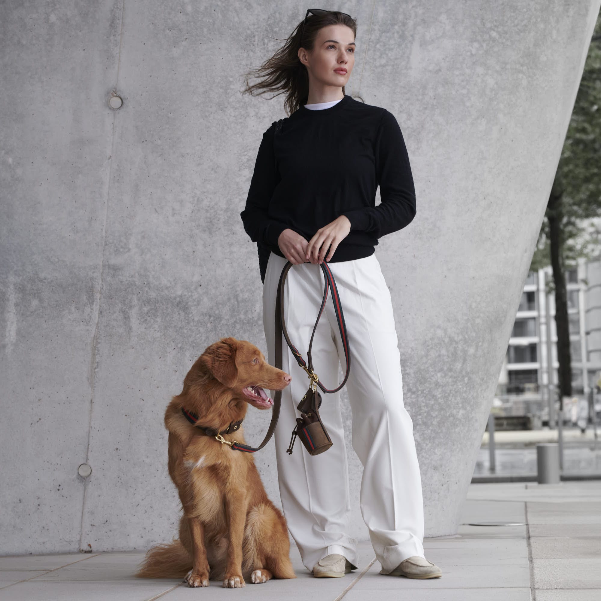 William Walker Leder Hundehalsband Florence // Limited