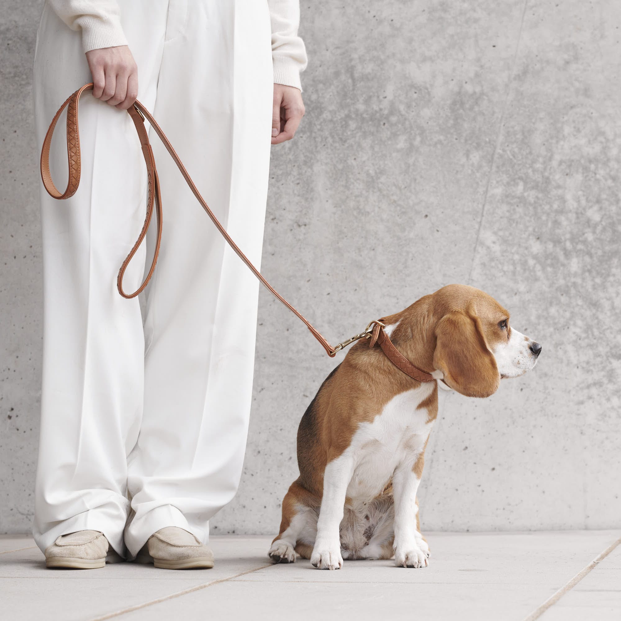 William Walker Hochwertige Leder Hundeleine Prestige Caramel