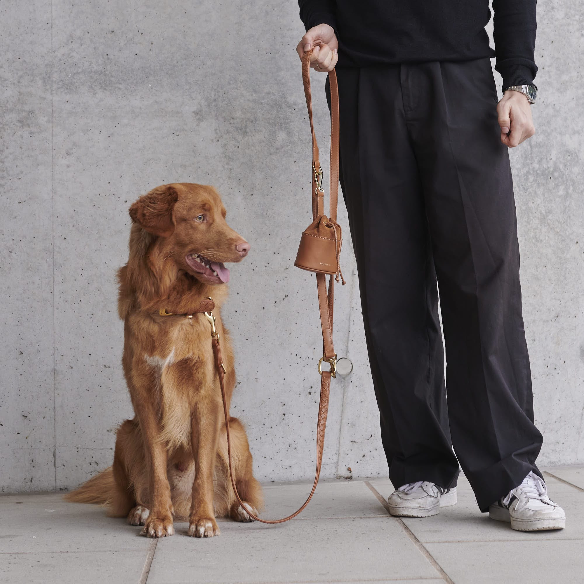 William Walker Hochwertige Leder Hundeleine Prestige Caramel