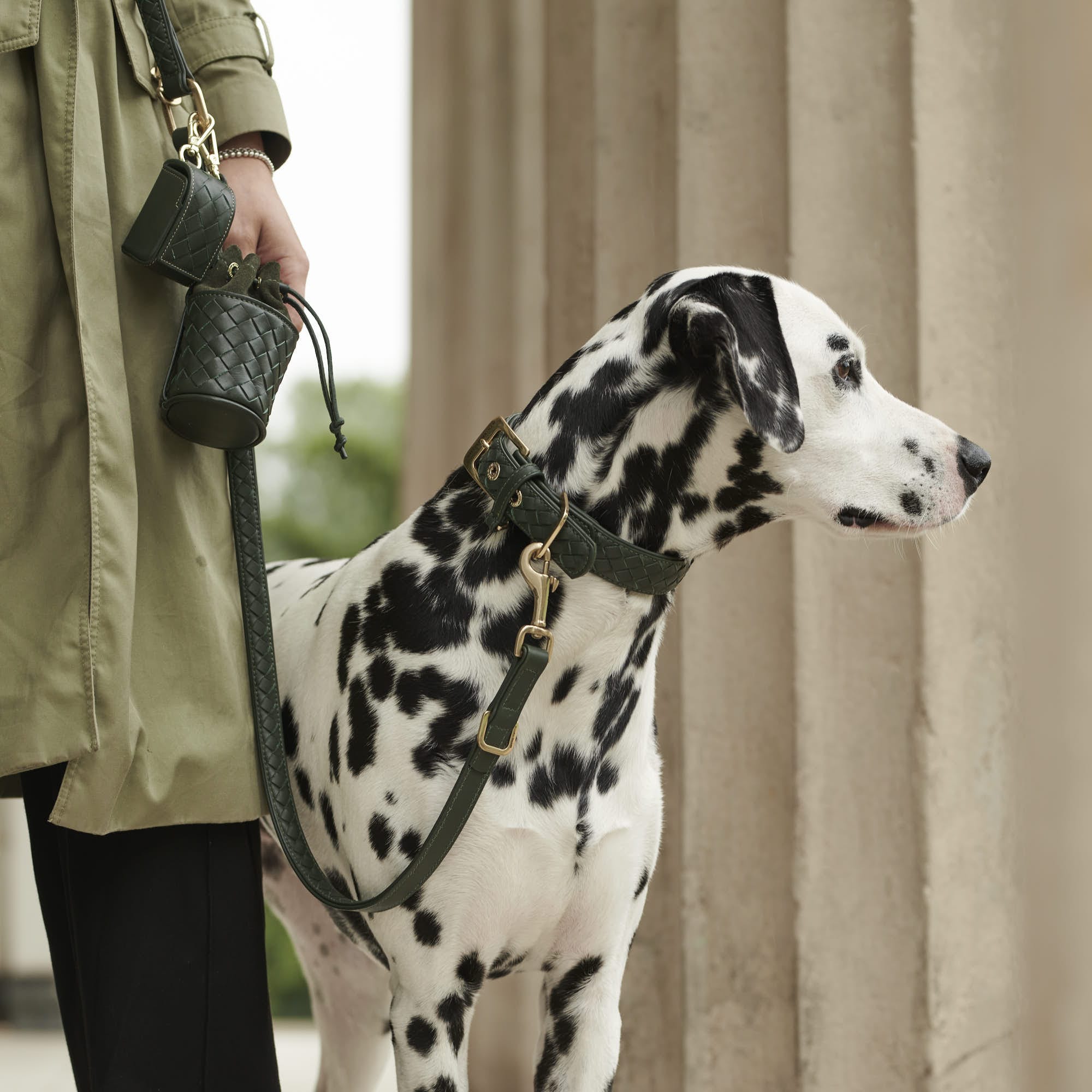 William Walker Kotbeutelspender Prestige Forest (Waldgrün)