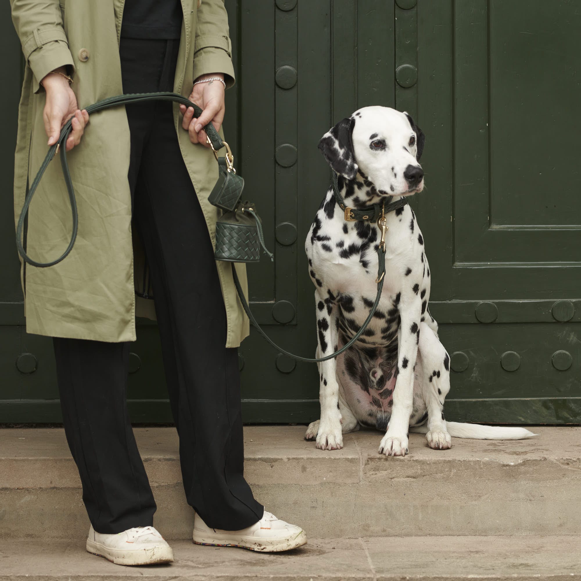 William Walker Hochwertige Leder Hundeleine Prestige Forest (Waldgrün)