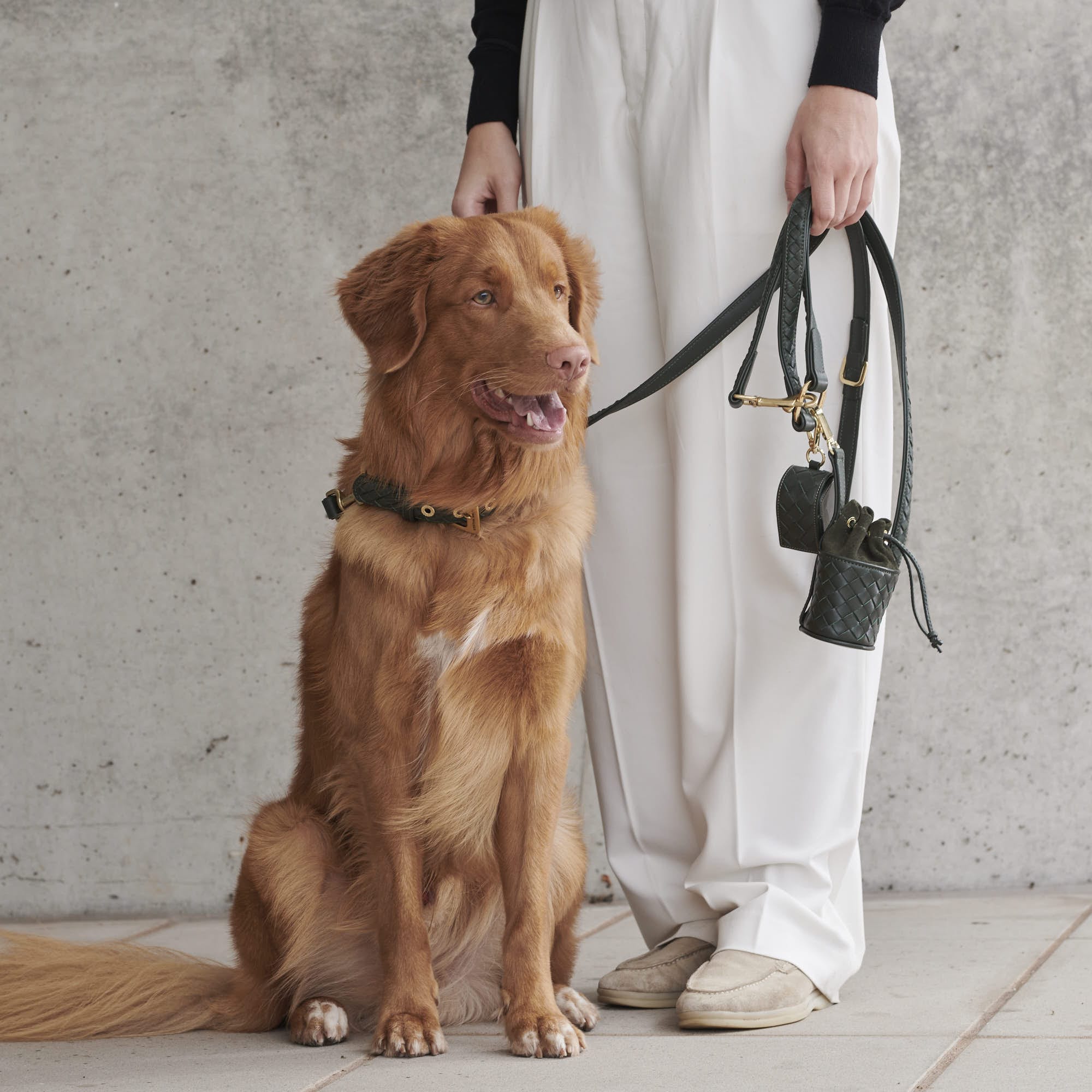 William Walker Hochwertige Leder Hundeleine Prestige Forest (Waldgrün)