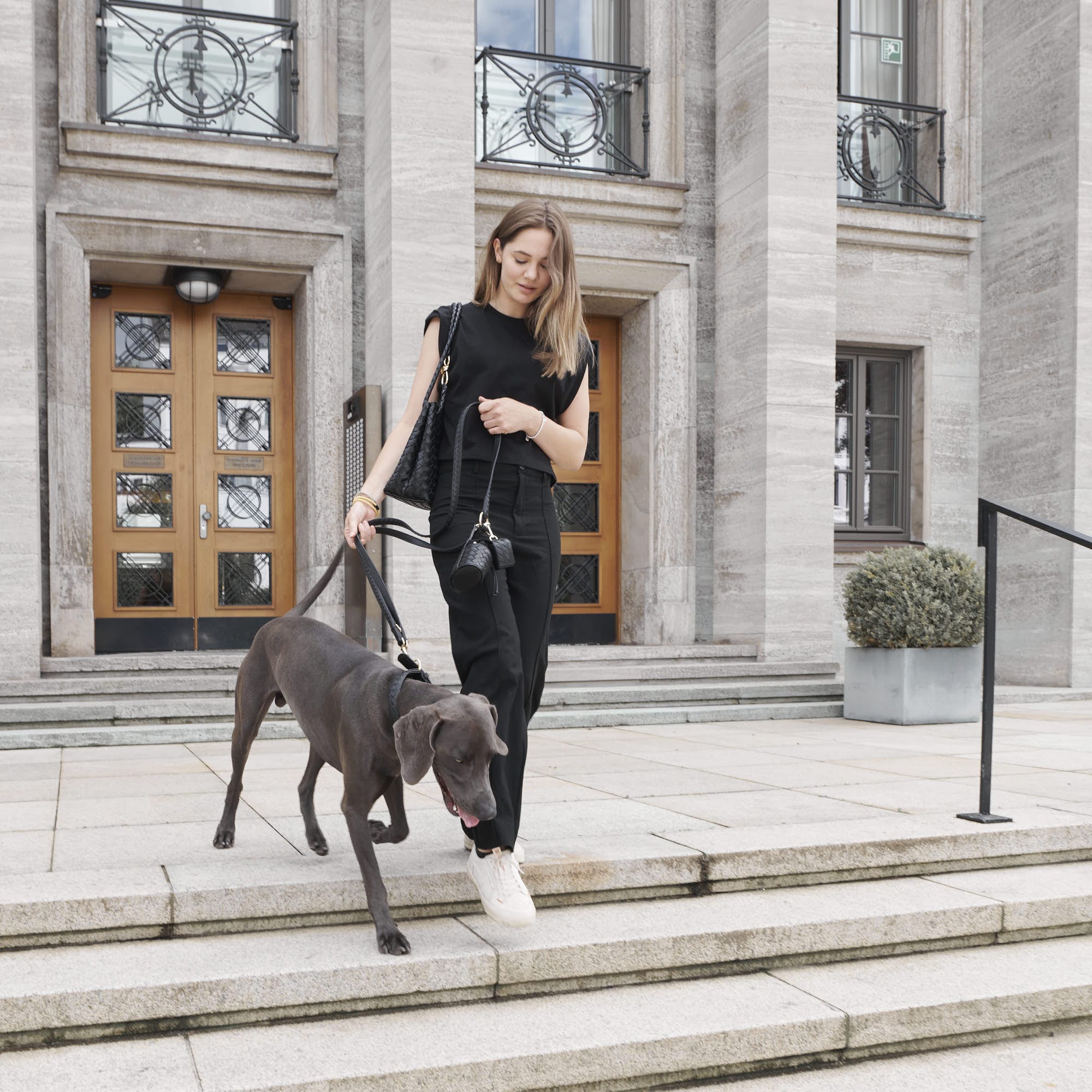 William Walker Leder Hundehalsband Prestige Nero (Schwarz)