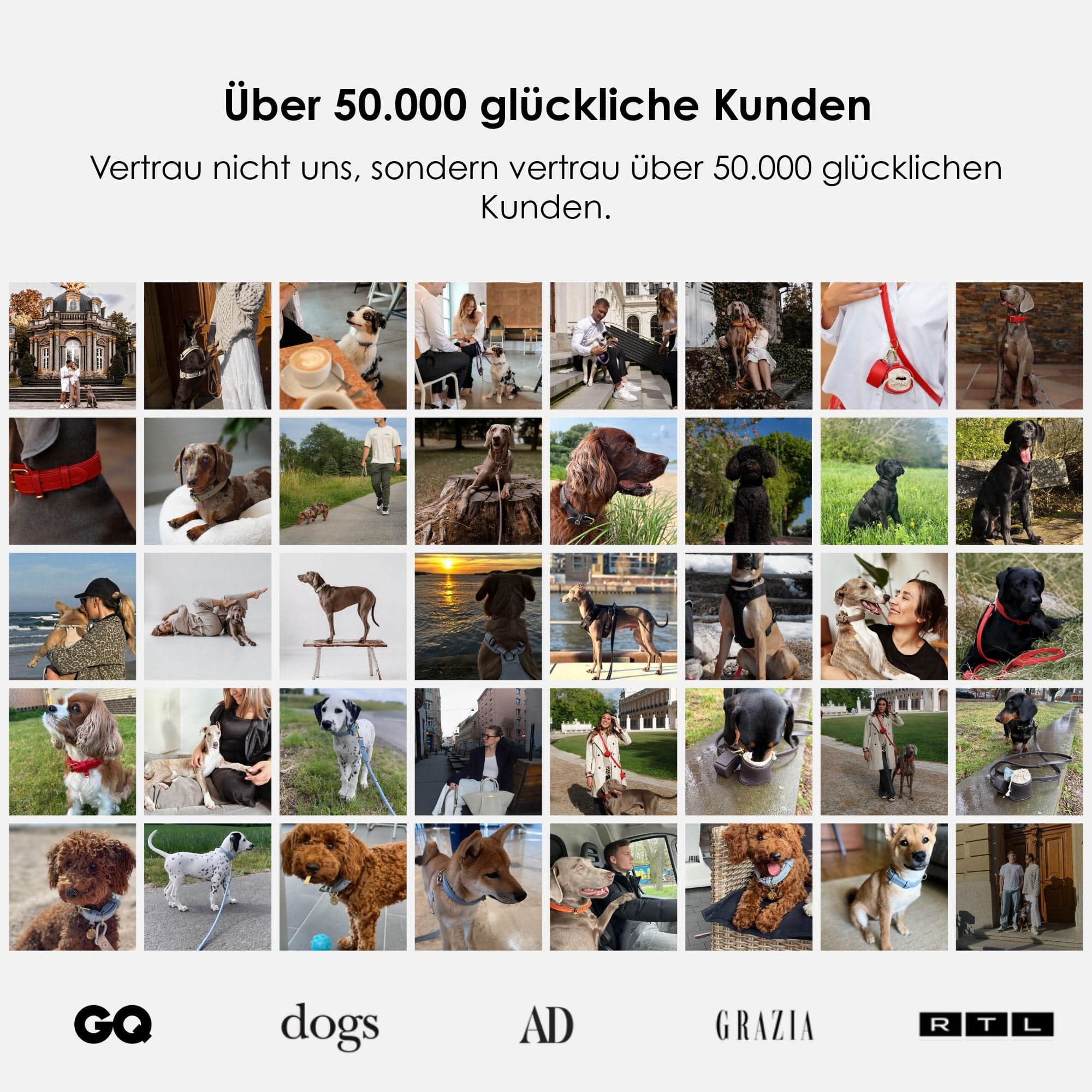 William Walker Jacquard Nylon Hundehalsband Nero (schwarz)