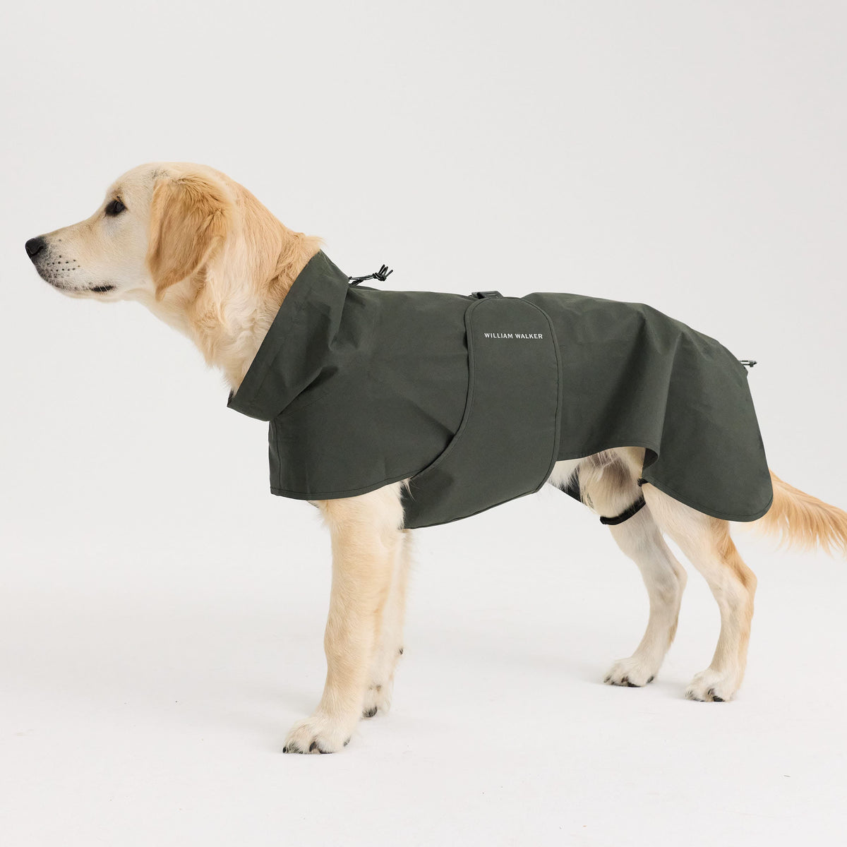 William Walker Waterproof dog raincoat Harbour