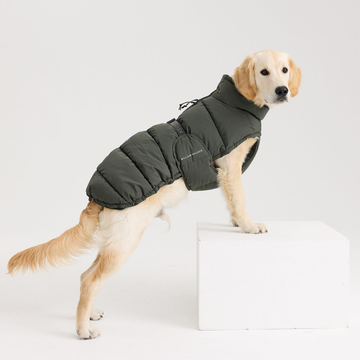 William Walker Warm winter dog coat Alpine