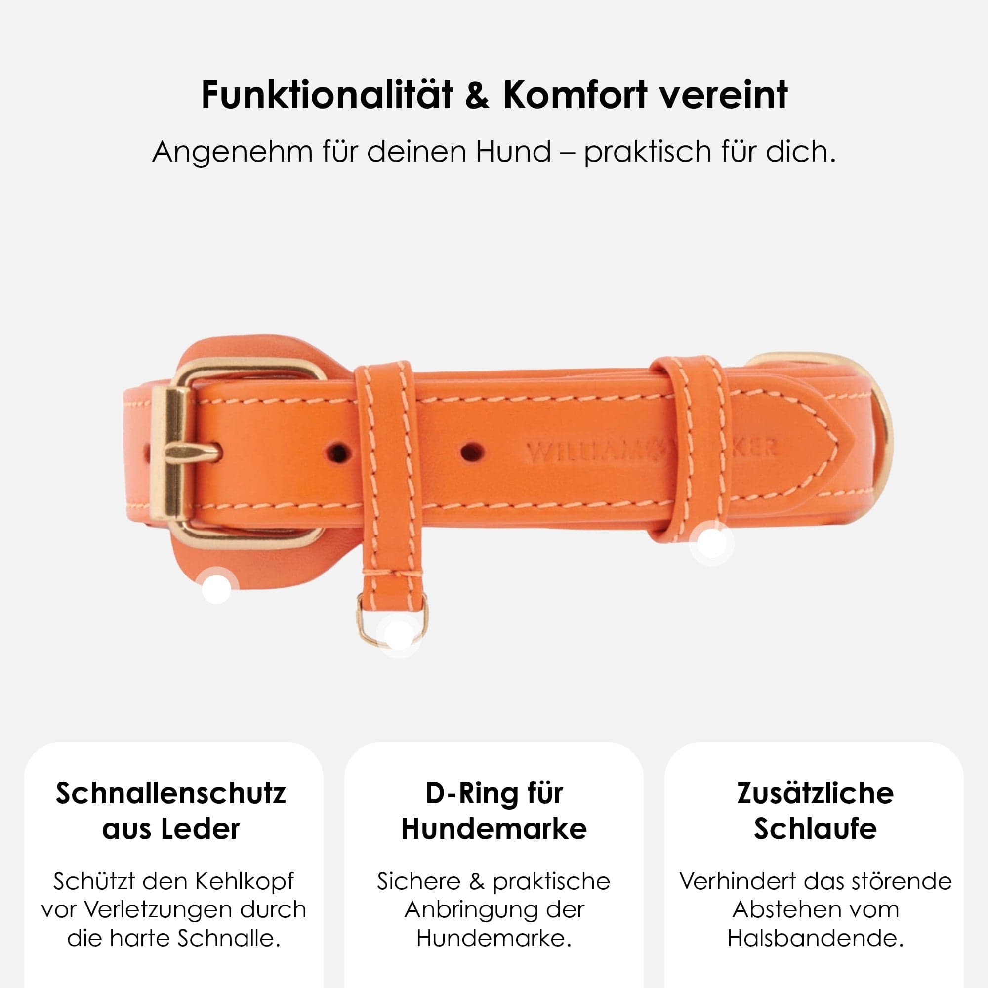 William Walker Leder Hundehalsband Amber (Orange)