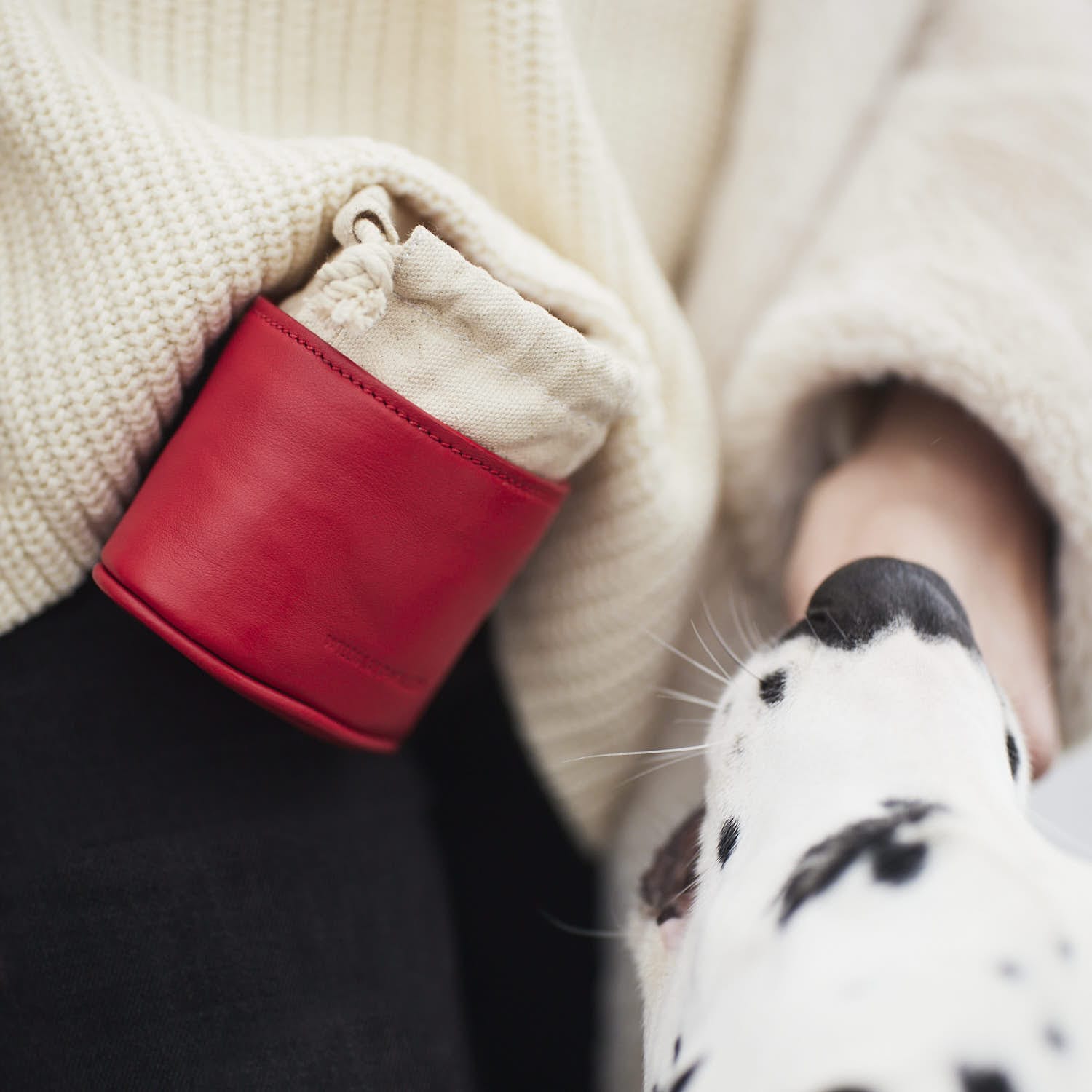 William Walker Leckerlibeutel Chilli