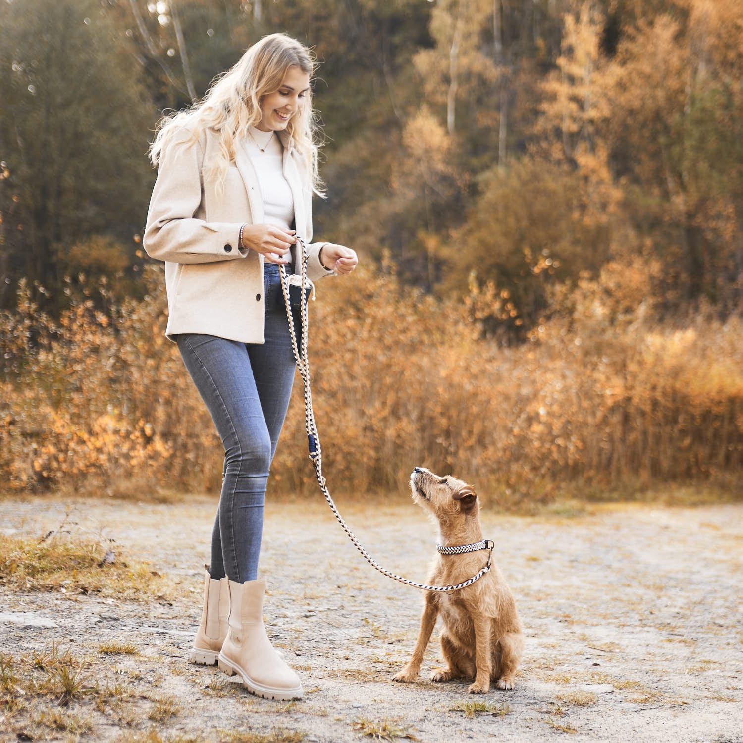 William Walker Paracord Hundehalsband Hanseatic