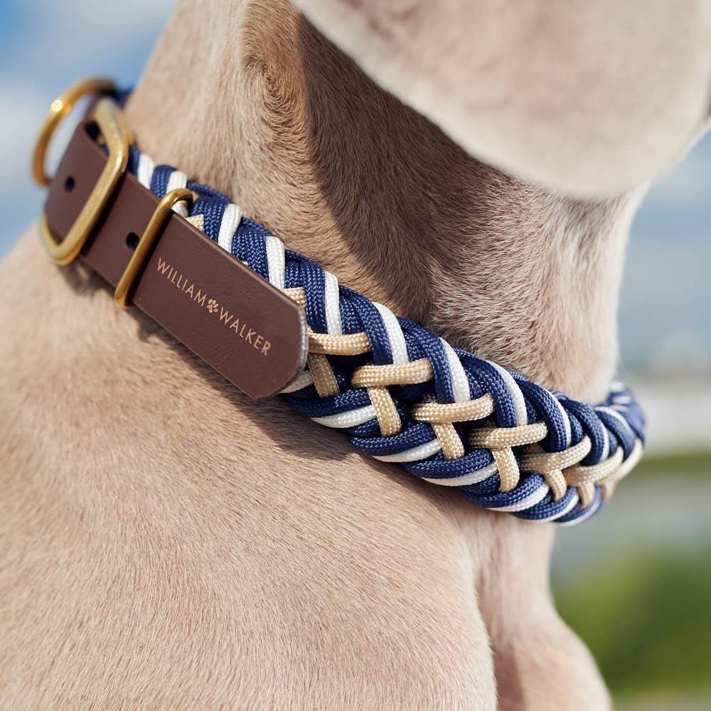Paracord BioThane® Dog collar Hanseatic