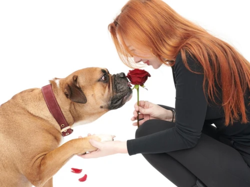 William Walker Valentinstag - Wenn dein größter Verehrer vier Beine hat