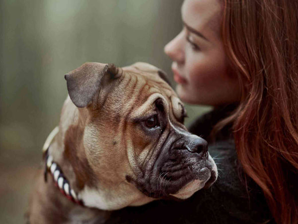 William Walker most stylish Dog Owners on Social Media Paracord Royal Kollektion Hamburg