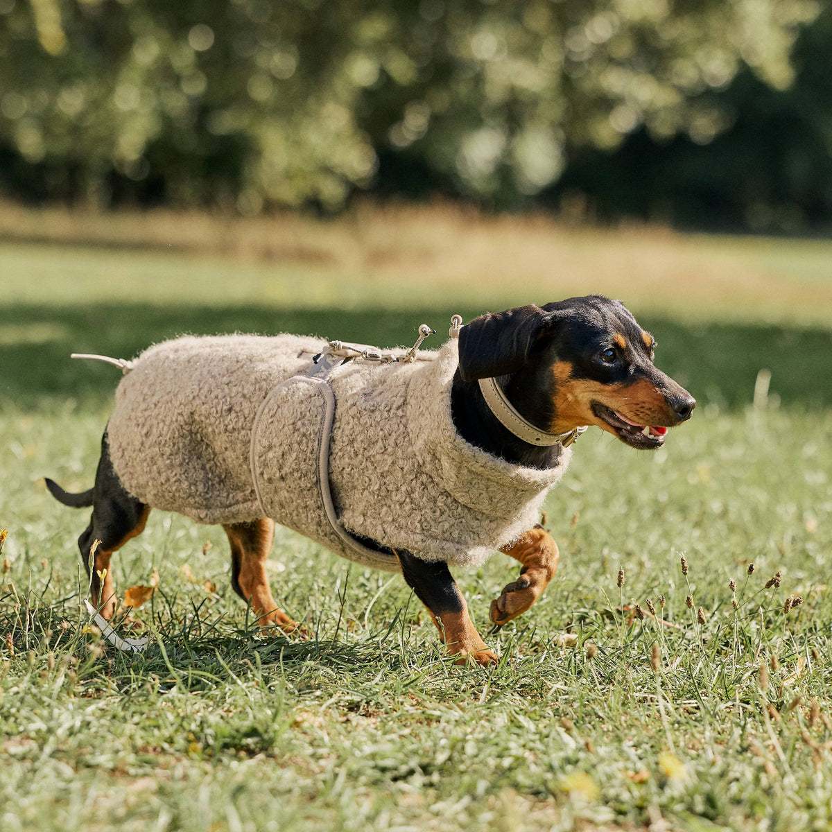 William Walker Cosy fleece dog coat Cozy for dachshunds