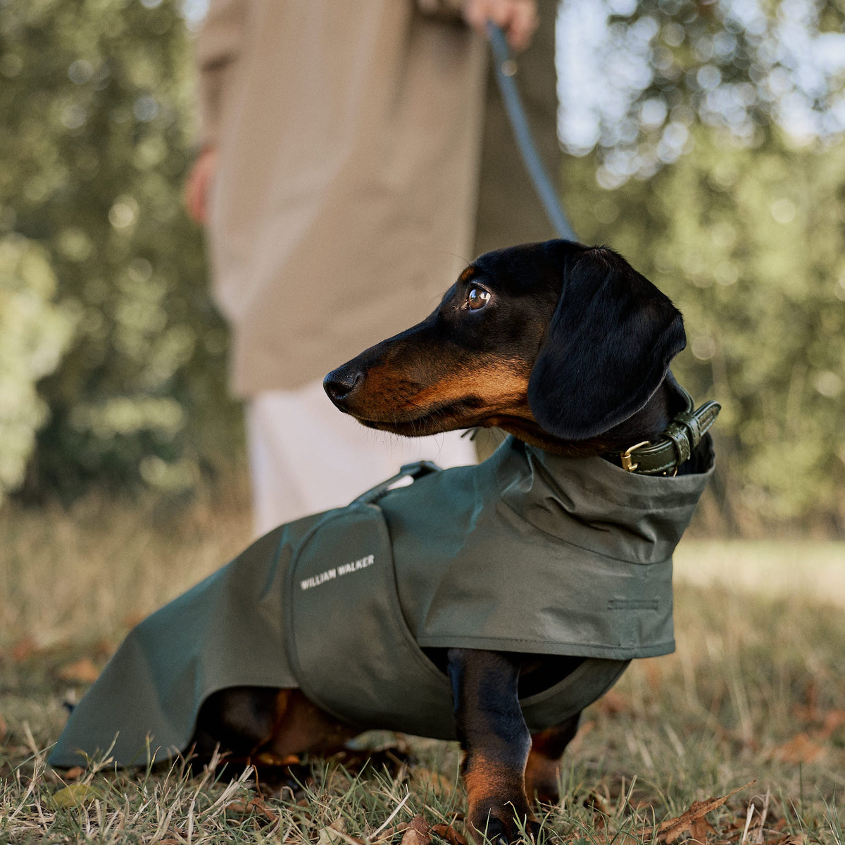William Walker Waterproof raincoat for dachshunds Dark Moss / 2