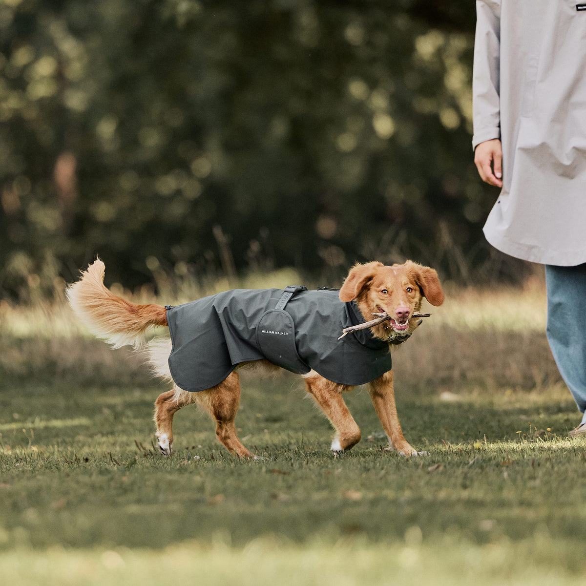 William Walker Waterproof dog raincoat Harbour