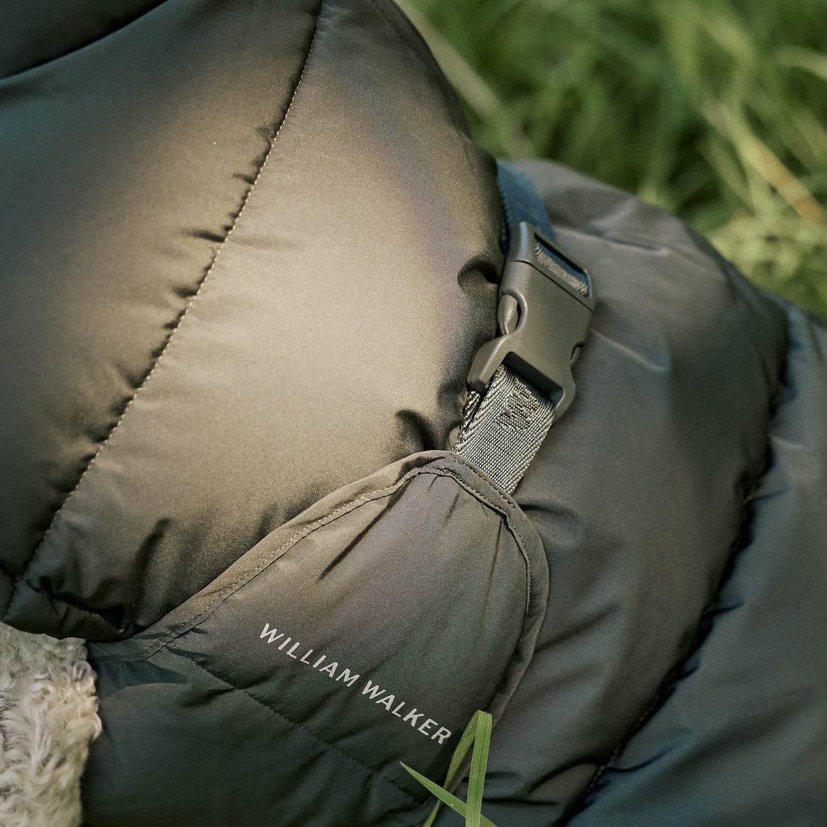 William Walker Warm winter dog coat Alpine